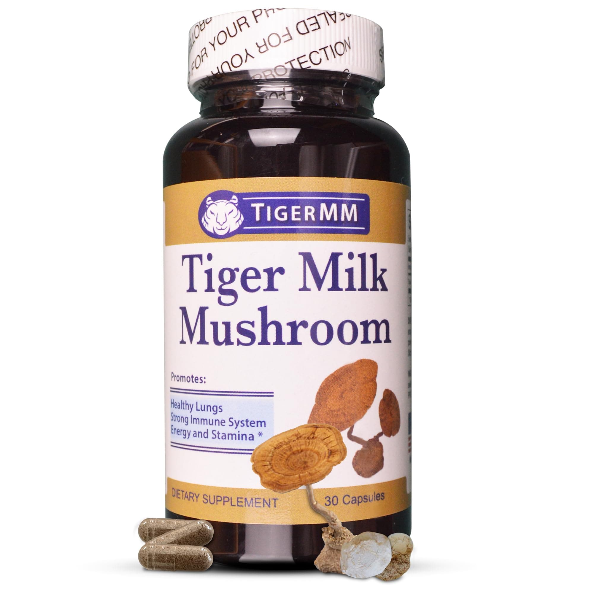 Tiger Milk Mushroom (Lignosus rhino.) USA, Lung Respiratory Support, Immune Booster