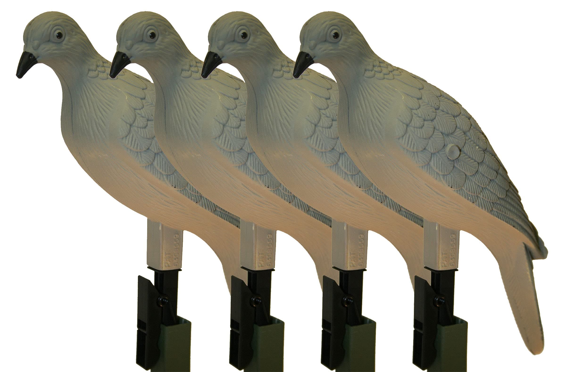 MOJO Outdoors Dove Decoys for Dove Hunting