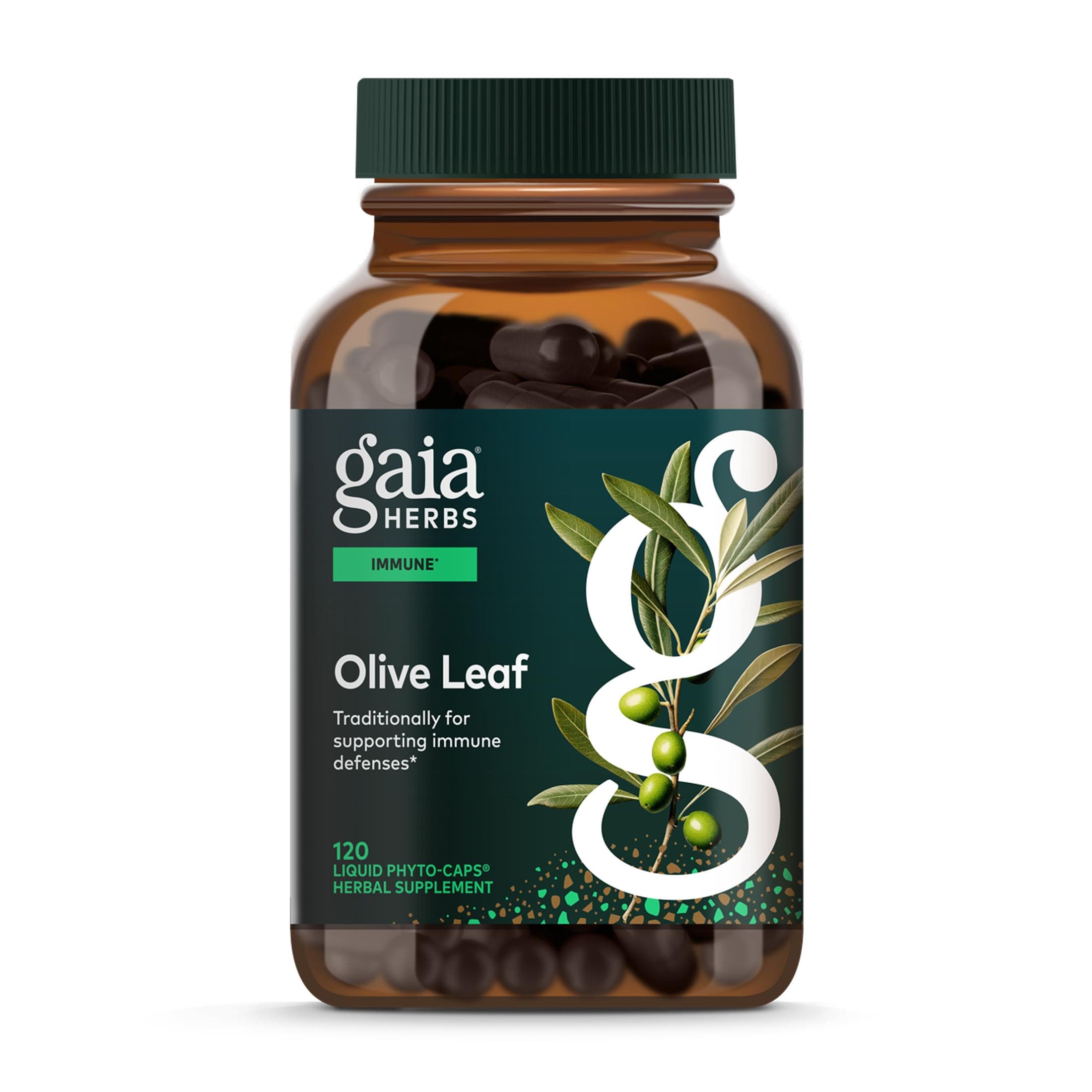 Olive Leaf - Traditional Immune Health Support - Immune System Supplement with Olive Leaf Extract and Oleuropein - 120 Vegan Liquid Phyto-Caps