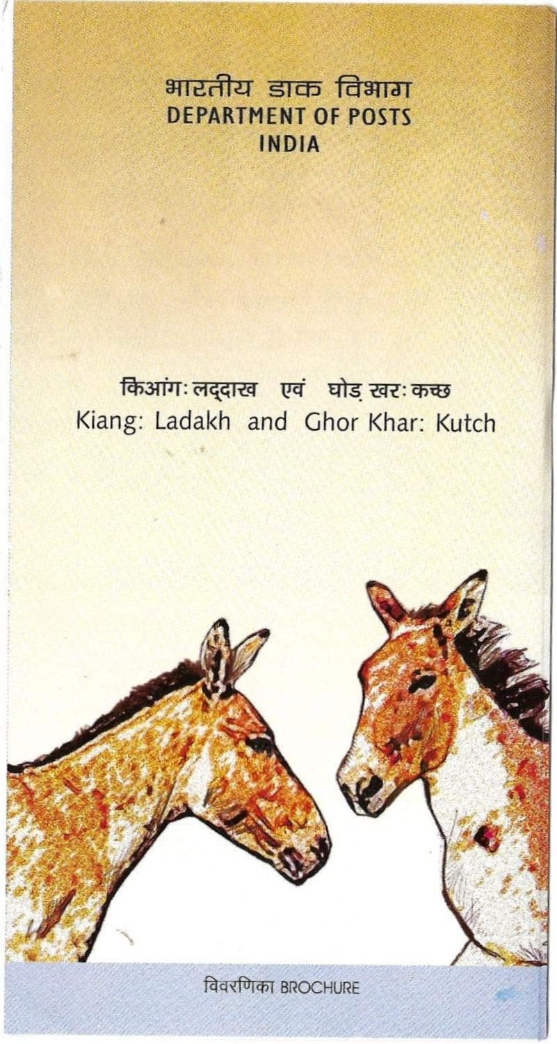 2013 India Kiang Ladakh and Ghor Khar Kutch Blank Brochure # D