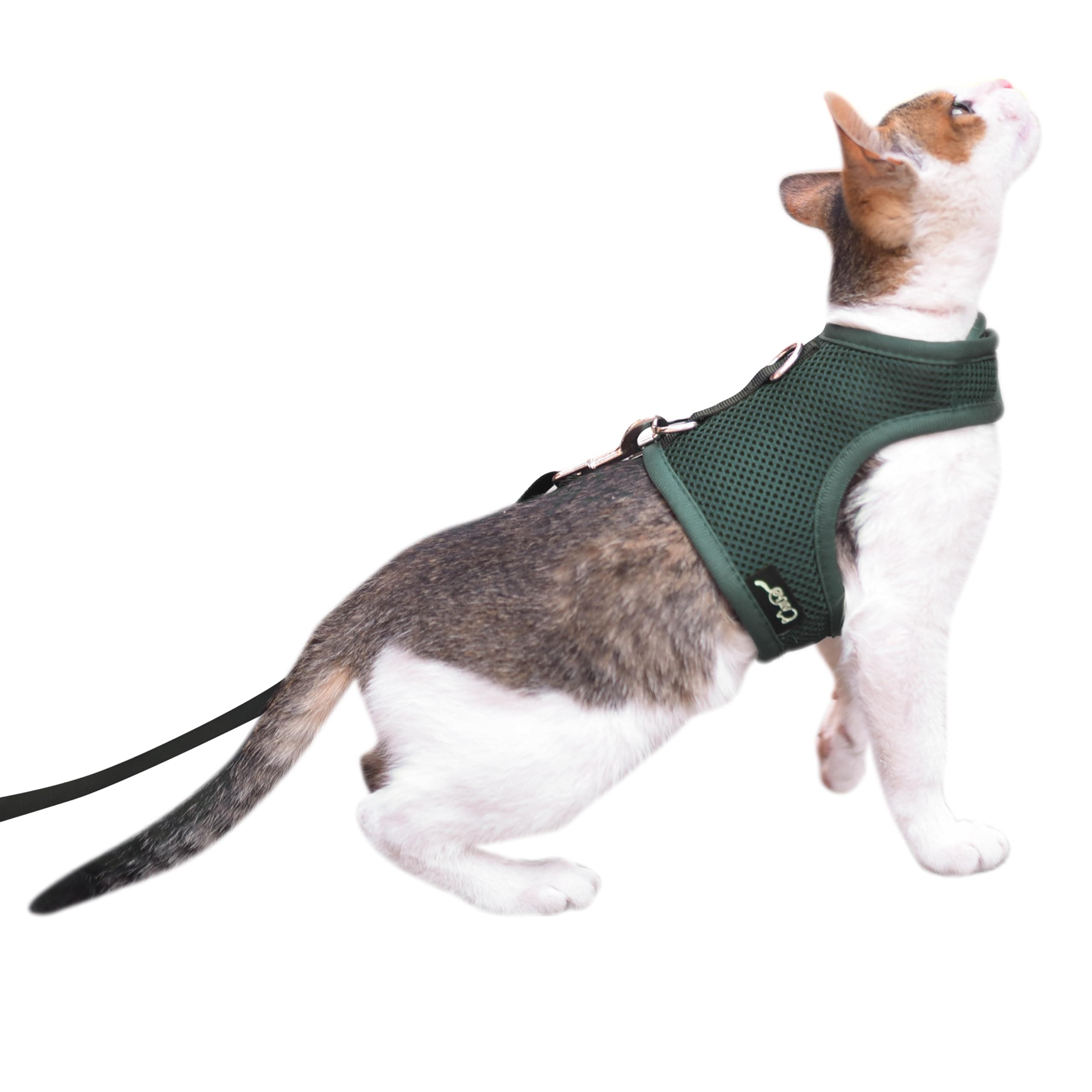 Cat Harness and Leash for Walking Escape Proof Breathable Mesh Fabric, Solid Green, Extra Large, Adjustable Cat Walking Jackets, Padded Stylish Cat Vest