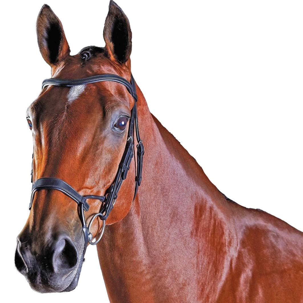 ComFiTec Training Bridle, Black, Full