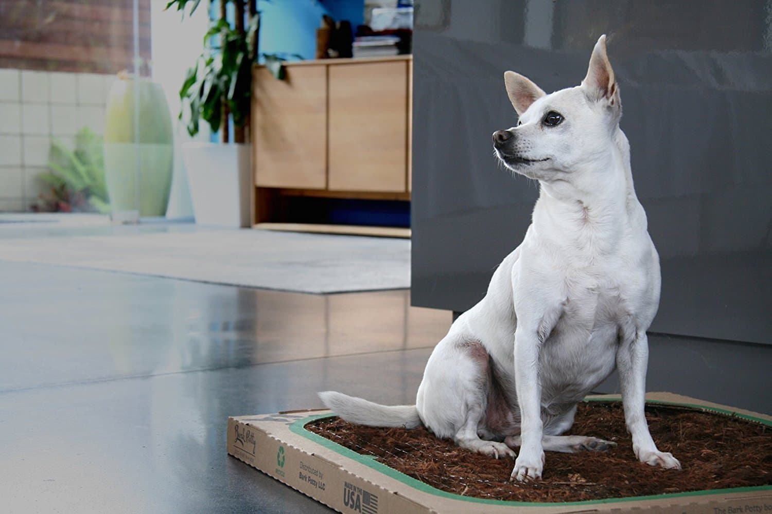 Indoor Dog Potty Tray - Disposable Natural Pet Bathroom Solution - Made With Real Tree Bark