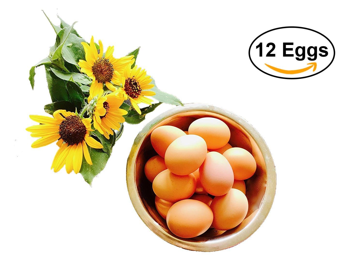 Notti Farm 12 Premium Fertile Chicken Hatching Eggs, Fertile Free Range Chicken Eggs, Barn Yard Mix, Rhode Island Reds, Goldens, Pasture Fed Chickens, Made in TEXAS