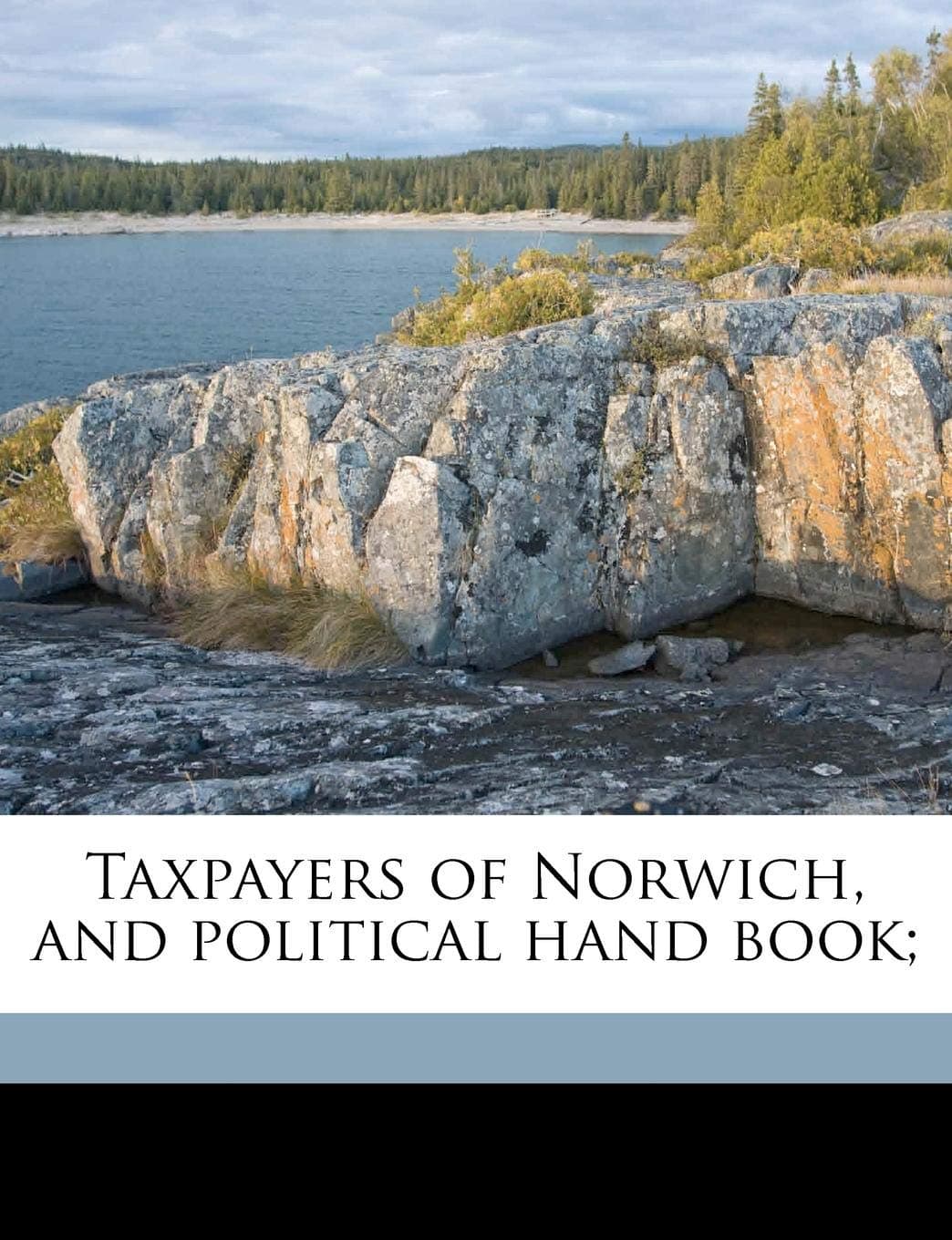 Taxpayers of Norwich, and Political Hand Book;