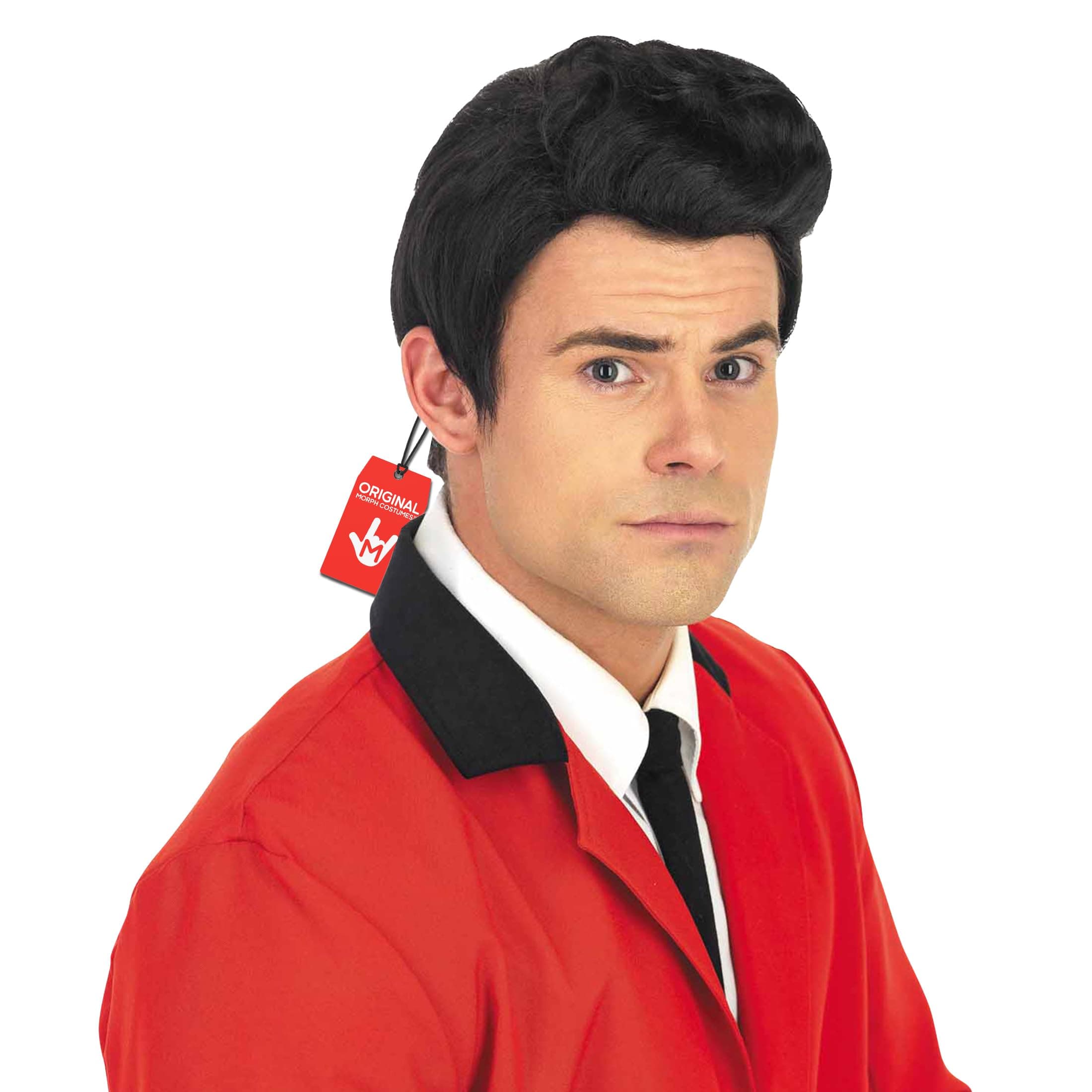 Fun Shack Teddy Boy Wig for Men, 1950s Costume Wig for Parties, Black Hair Wigs for Adults, Retro Style Accessory, One Size