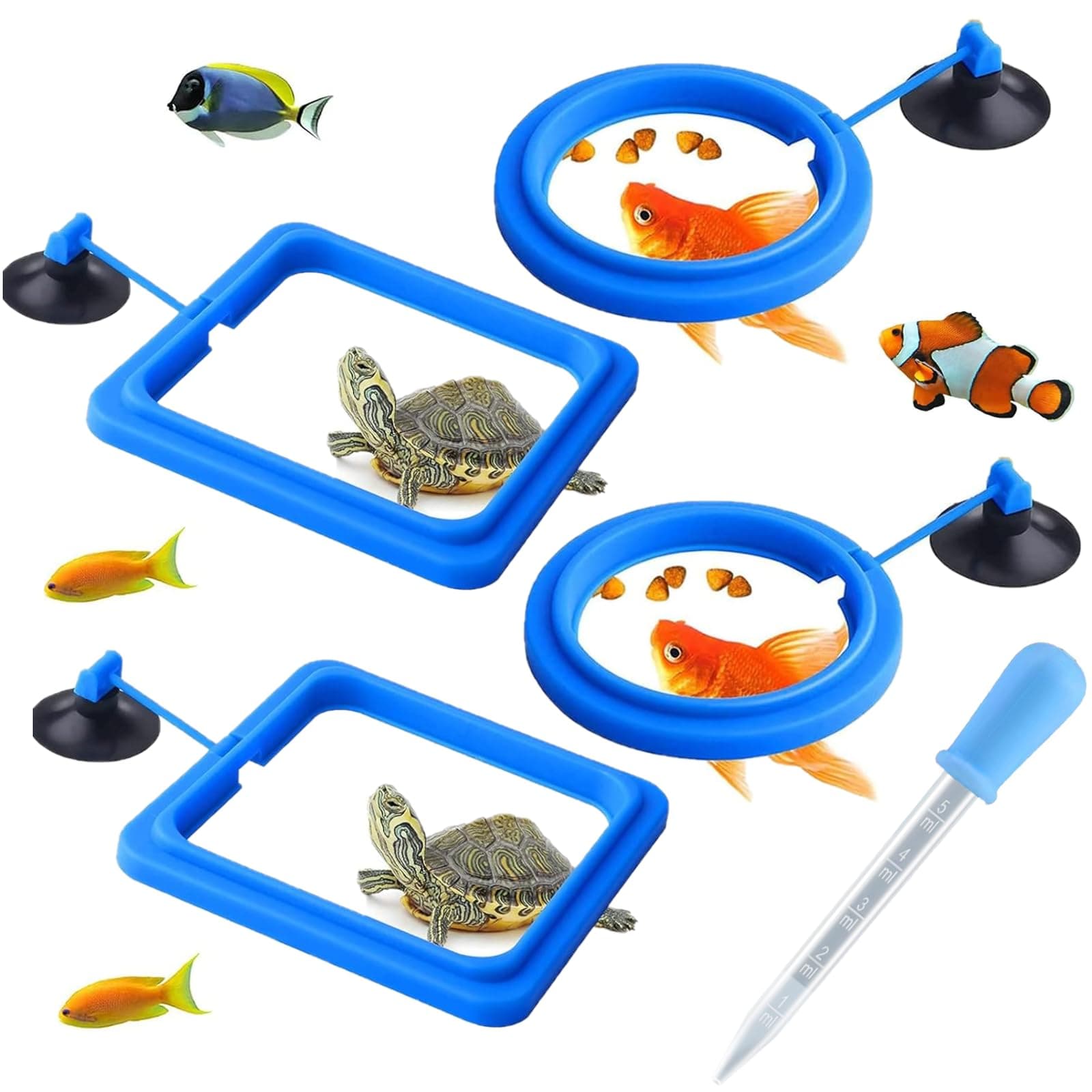 Toulifly Fish Feeder Ring, Feeder Circle, Fish Feeding Ring Pond, Set of 5 Fish Feeders, Floating Feeding Ring for Guppy, Bettas, Goldfish and Turtle, Round and Square (Blue)