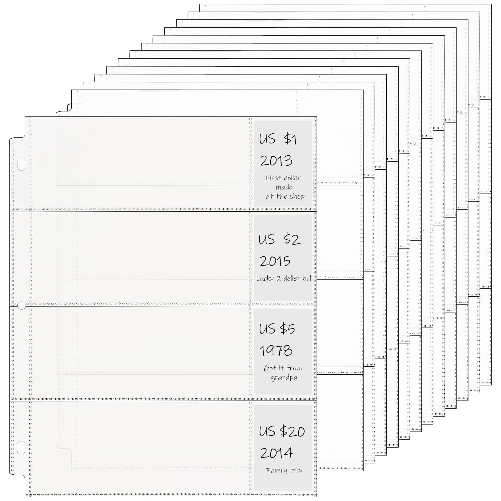 Chengu 48 Pcs 4 Pocket Currency Sleeves for 3 Ring Binder Clear Currency Album Bill Sleeves Holders Collection Binder Plastic Sheet Protectors for Bill Dollar Collectors Receipts Record Card Banknote