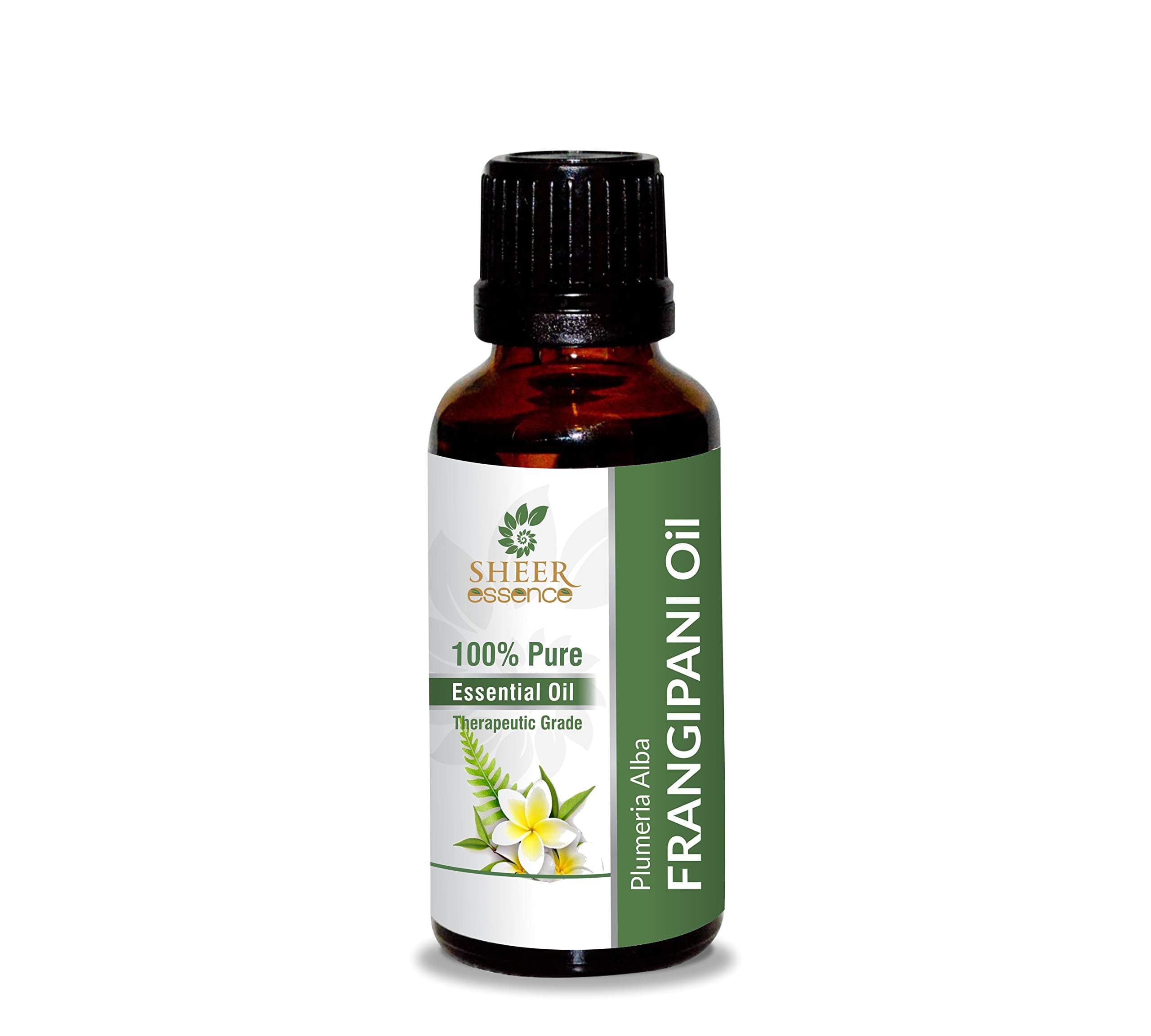 Frangipani Oil 15 ML (0.51 Fl.OZ) | 100% Pure Natural Undiluted Uncut Therapeutic Grade Plumeria Alba Essential Oil