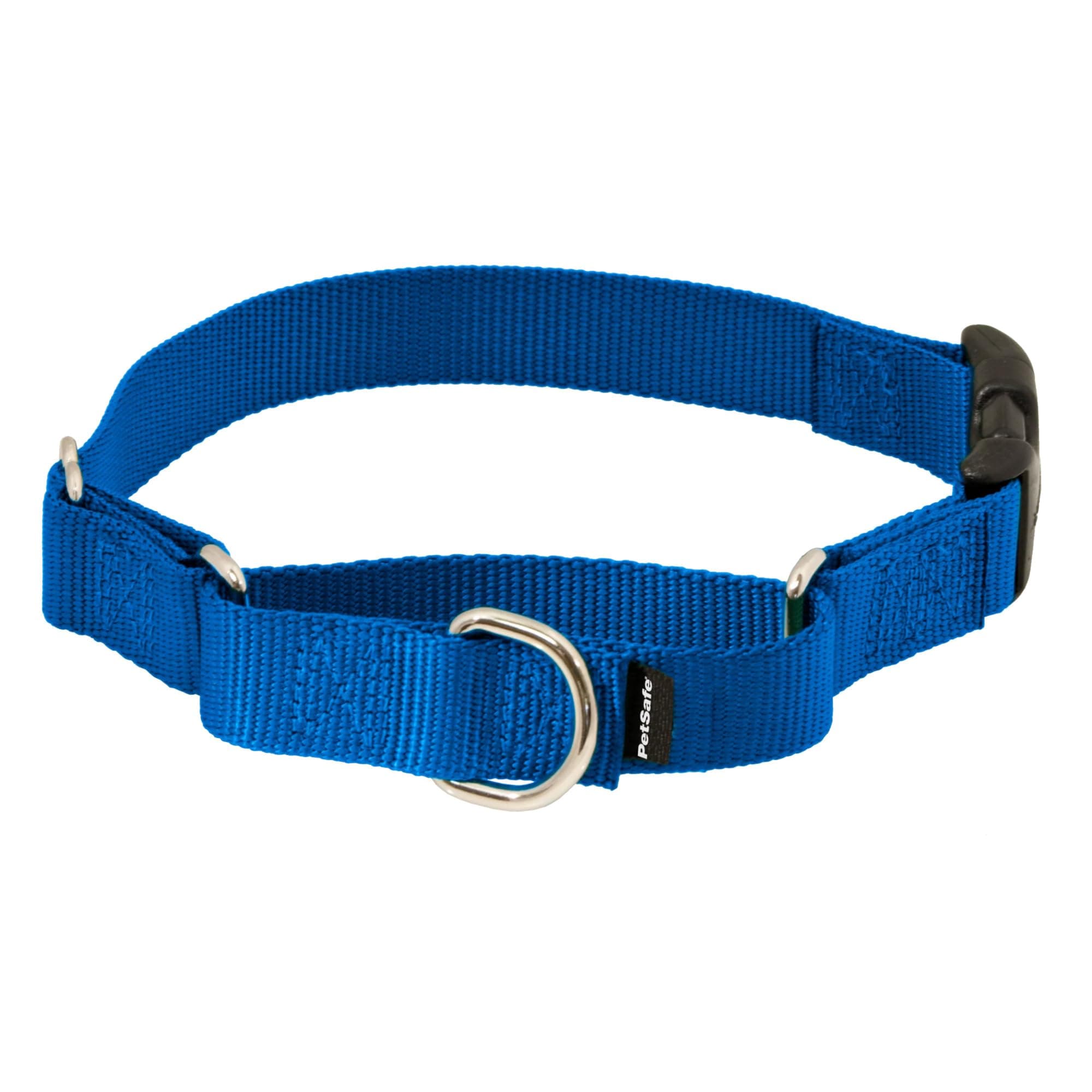 Adjustable Martingale Collar - Improves Leash Manners - Escape Prevention - Gentle Behavior Training - Durable Nylon - Alternative to Choke Collar - Medium 1" - Royal Blue