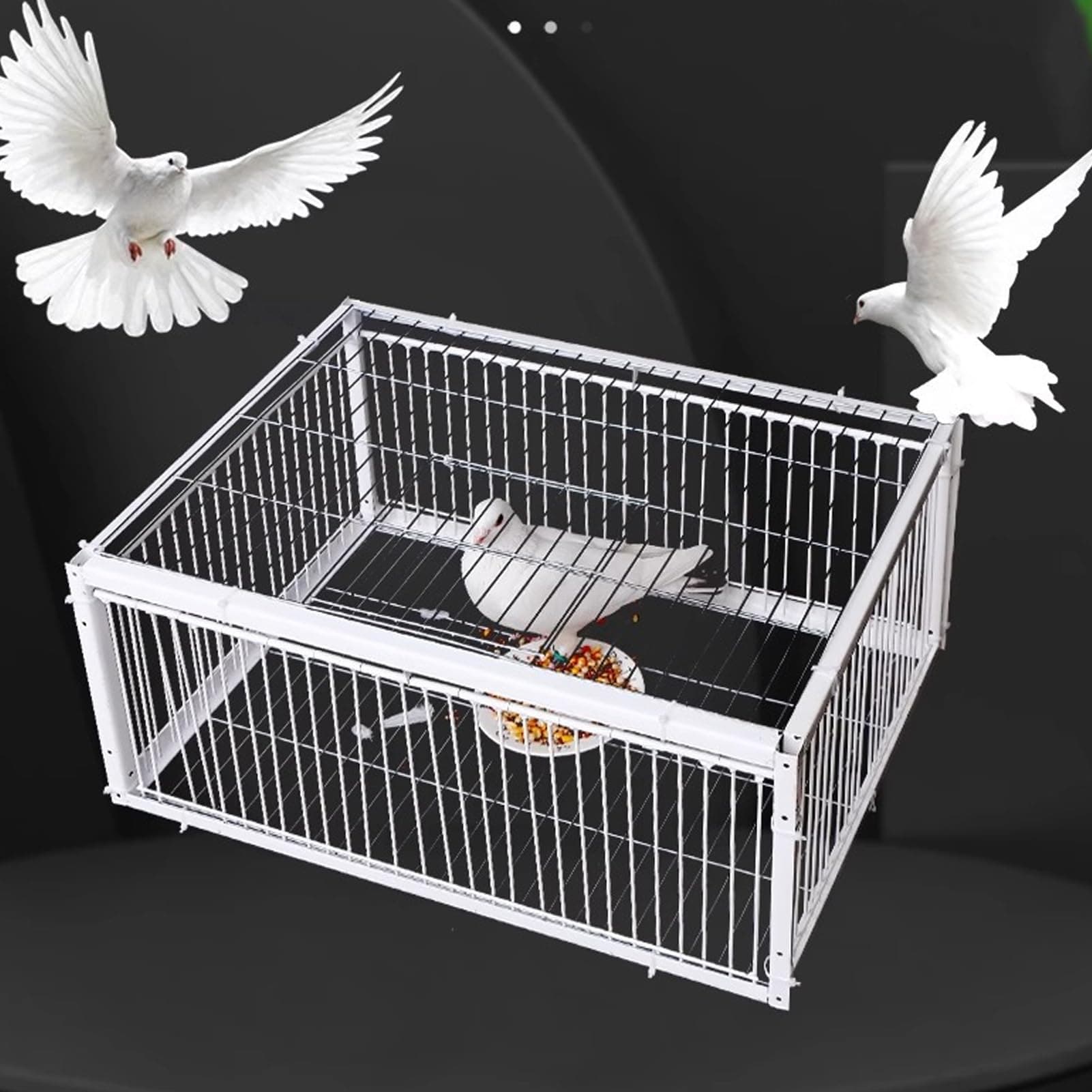 Jiawu Pigeon Dove Bird Trap Cage, Spacious Foldable Galvanised Feral Sparrow Pigeon Cage with One Way Entrance, Humane Bird Control, Trapping Pigeons Doves in Cages (M 6.5x8cm)