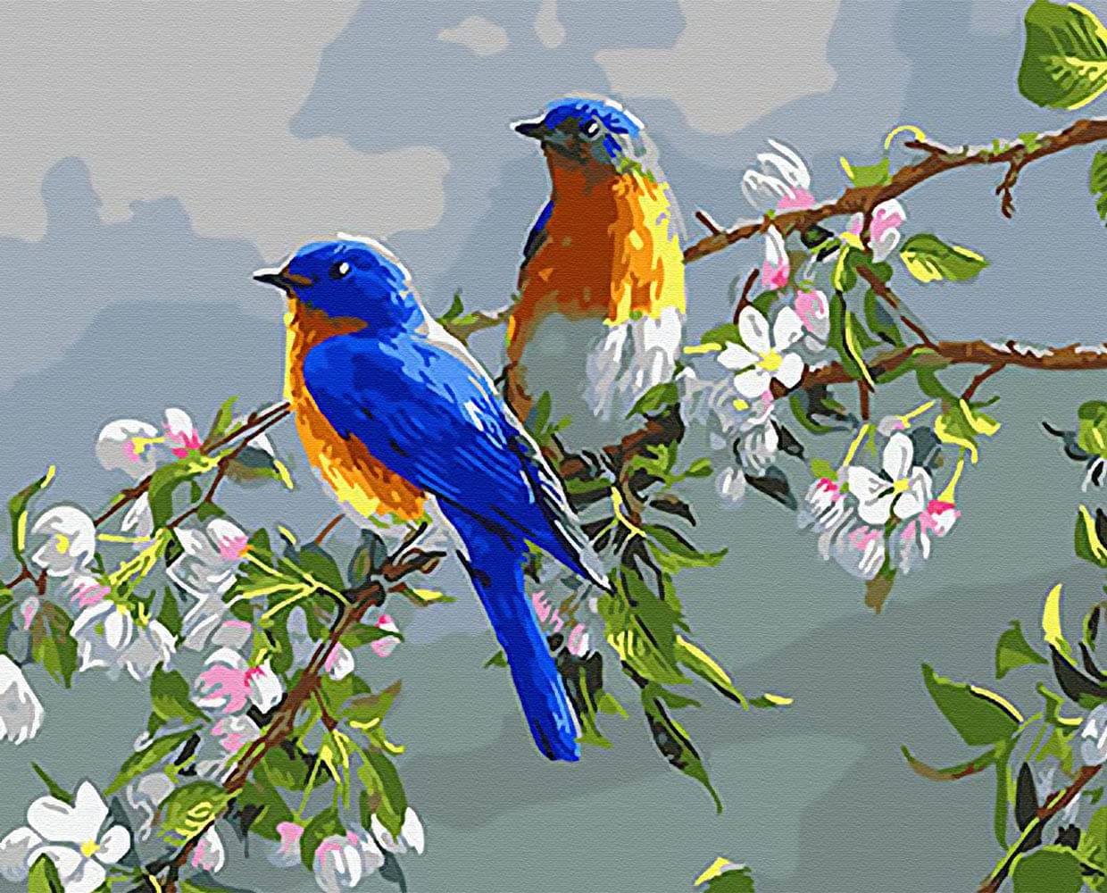 Grebesty Paint by Numbers for Adults, DIY Canvas Wall Art Painting by Numbers Flower Birds Paintings for Room Decor 40X50cm Frameless