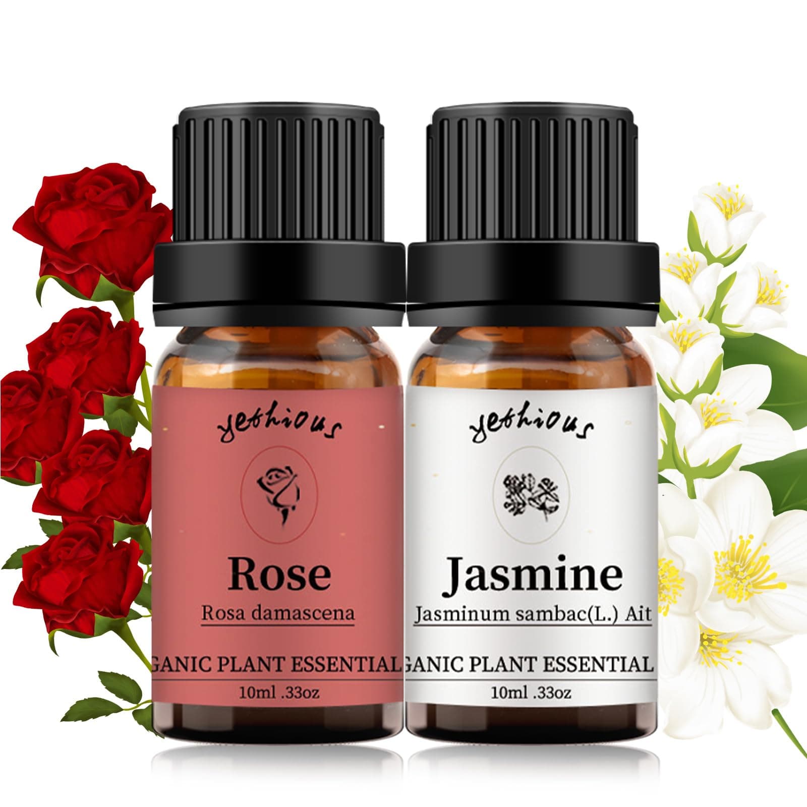 Rose Essential Oil Jasmine Essential Oil for Diffuser, Hair, Skin, Body, Face, Perfume, Soap, Candle Making Rose Fragrance Oil Set Jasmine Oil Organic 2 X 10ML
