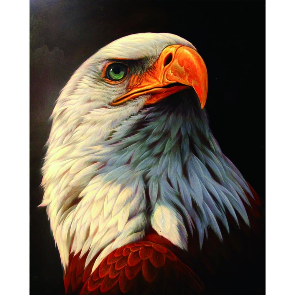 Chinatera 5d DIY Diamond Painting White Eagle Paint by Number Kits Wall Sticker 2530cm