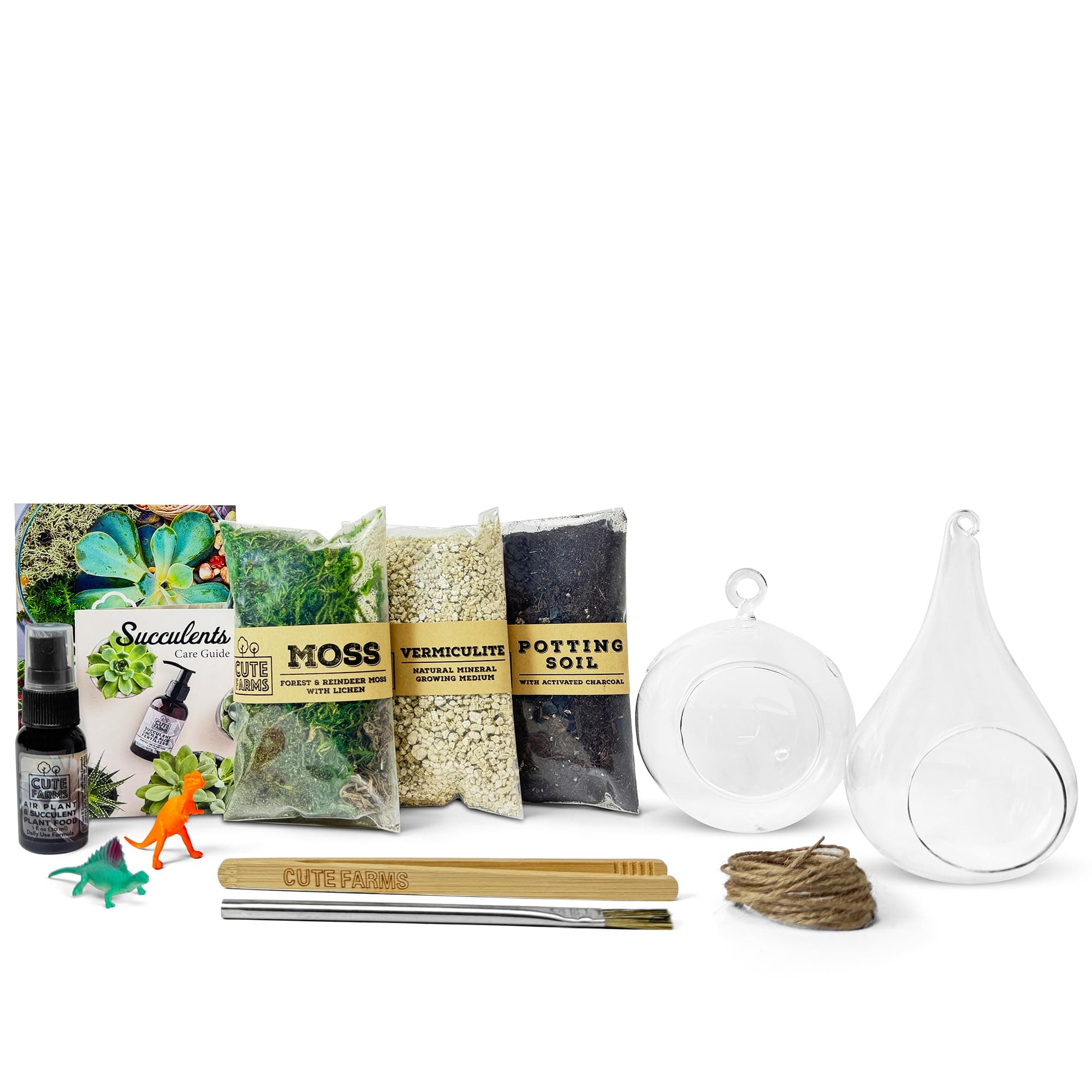 Hanging Glass Bubble Terrarium Kit