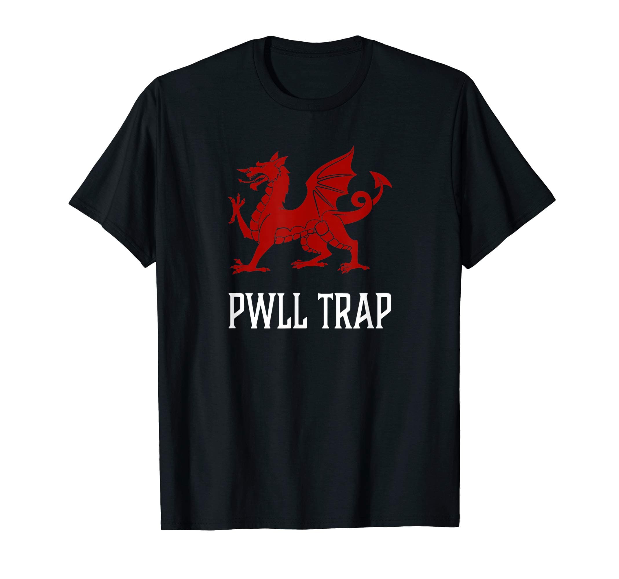 Pwll Trap, Wales - Welsh Flag Cymru T-shirt