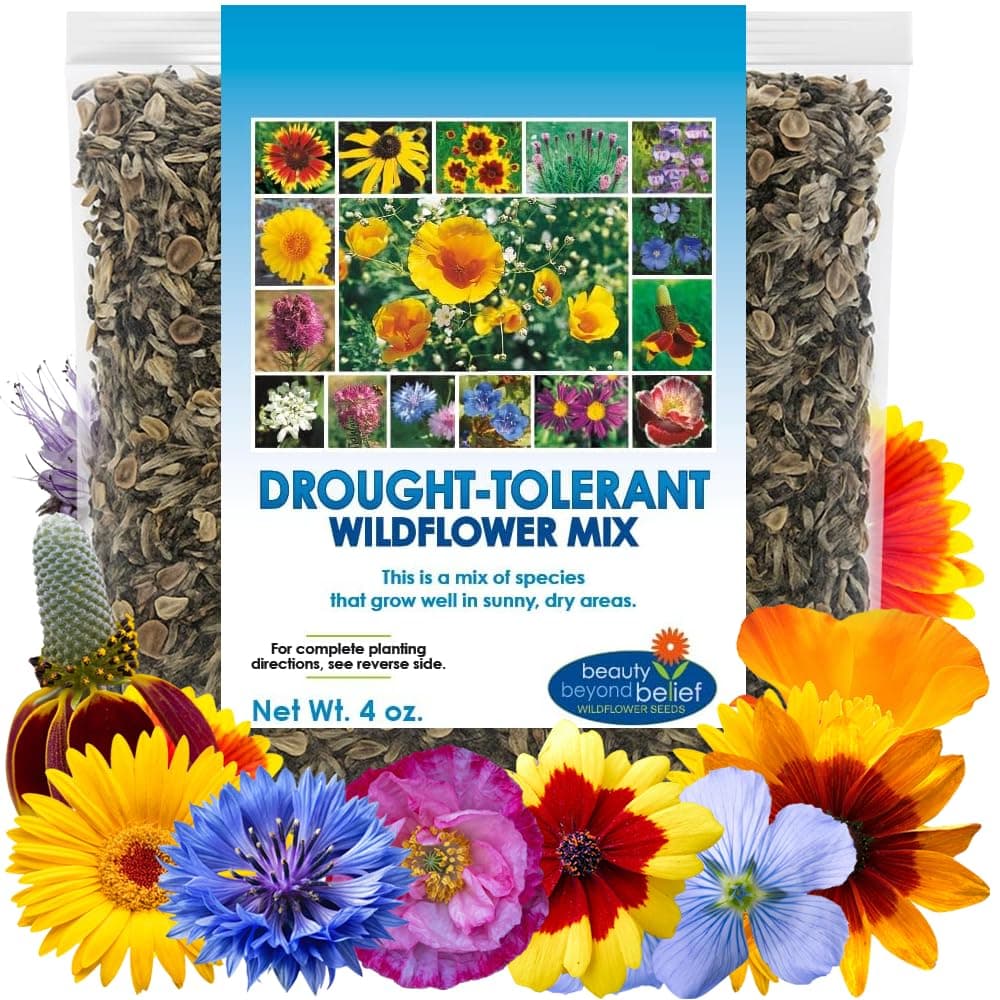 Drought Tolerant Wildflower Seeds - 4oz Packet, Open-Pollinated Bulk Flower Seed Mix for Beautiful Perennial, Annual Garden Flowers - No Fillers - 1/4 Pound
