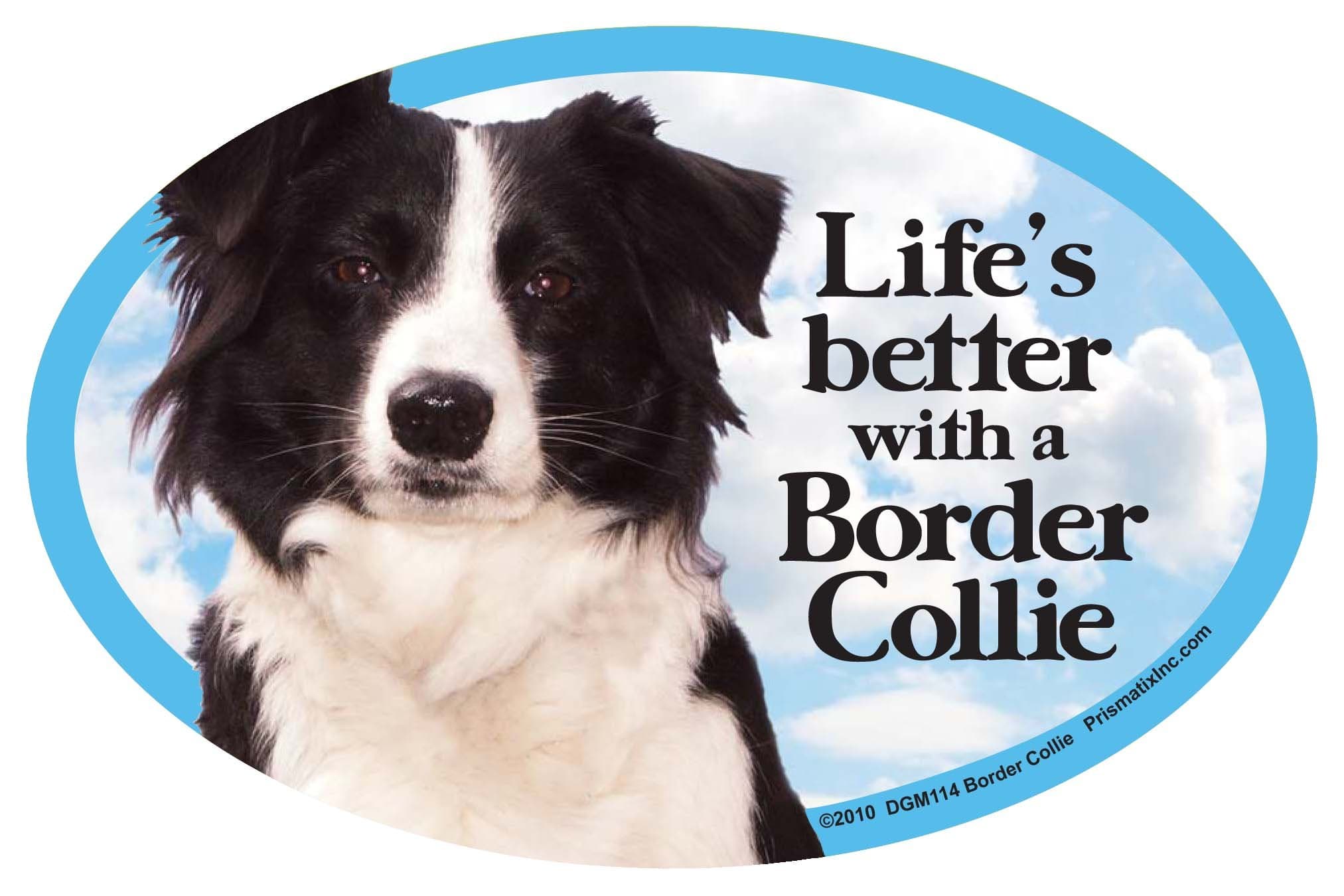 PrismatixDecal Dog Pet Magnets, Border Collie - Life's Better with a Border Collie - Strong Durable Car or Fridge Magnet Decal with Bright Colors, Great Gift for Dog Mom or Dad, 6 x 4 inches