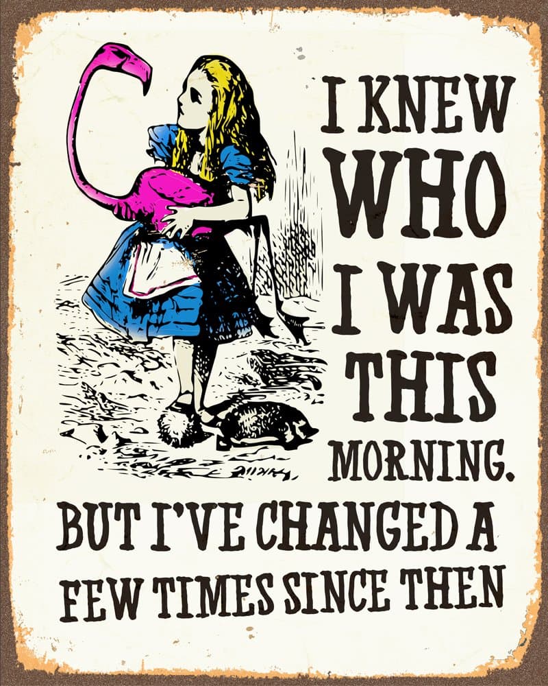 Alice in Wonderland I've Changed Metal Sign 6x8inches Plaque Vintage Retro Poster Art Picture Print TN1033