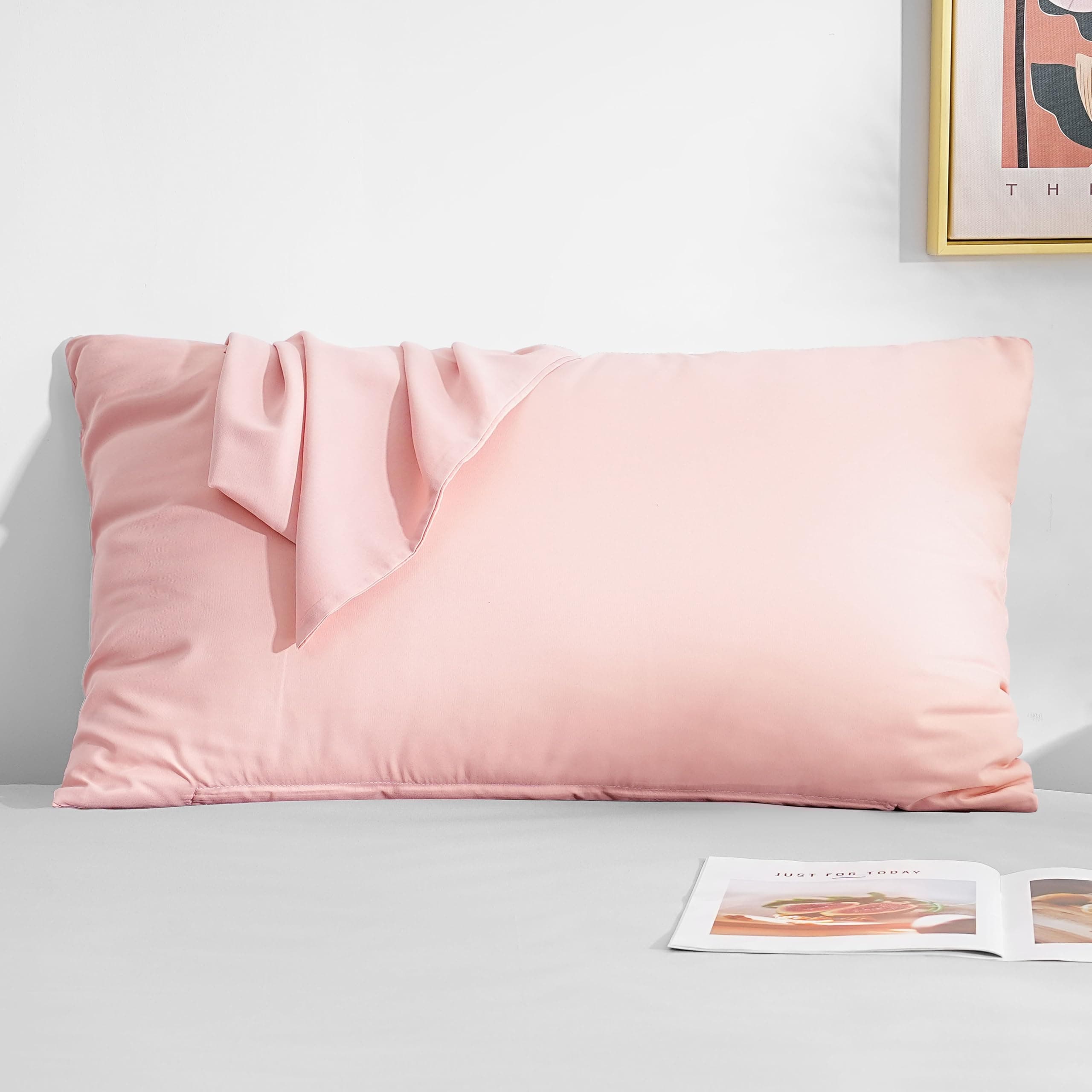 Mohap Zipper Pillowcase 2 Pieces Brushed Microfiber 1800 Hotel Quality Super Soft Pillow Cover No Shrinkage No Fade Pillow Protectors - Pink, Queen