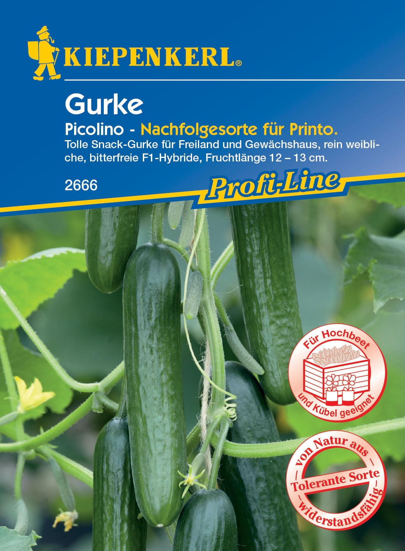 Kiepenkerl Cucumber Picolino 'F1