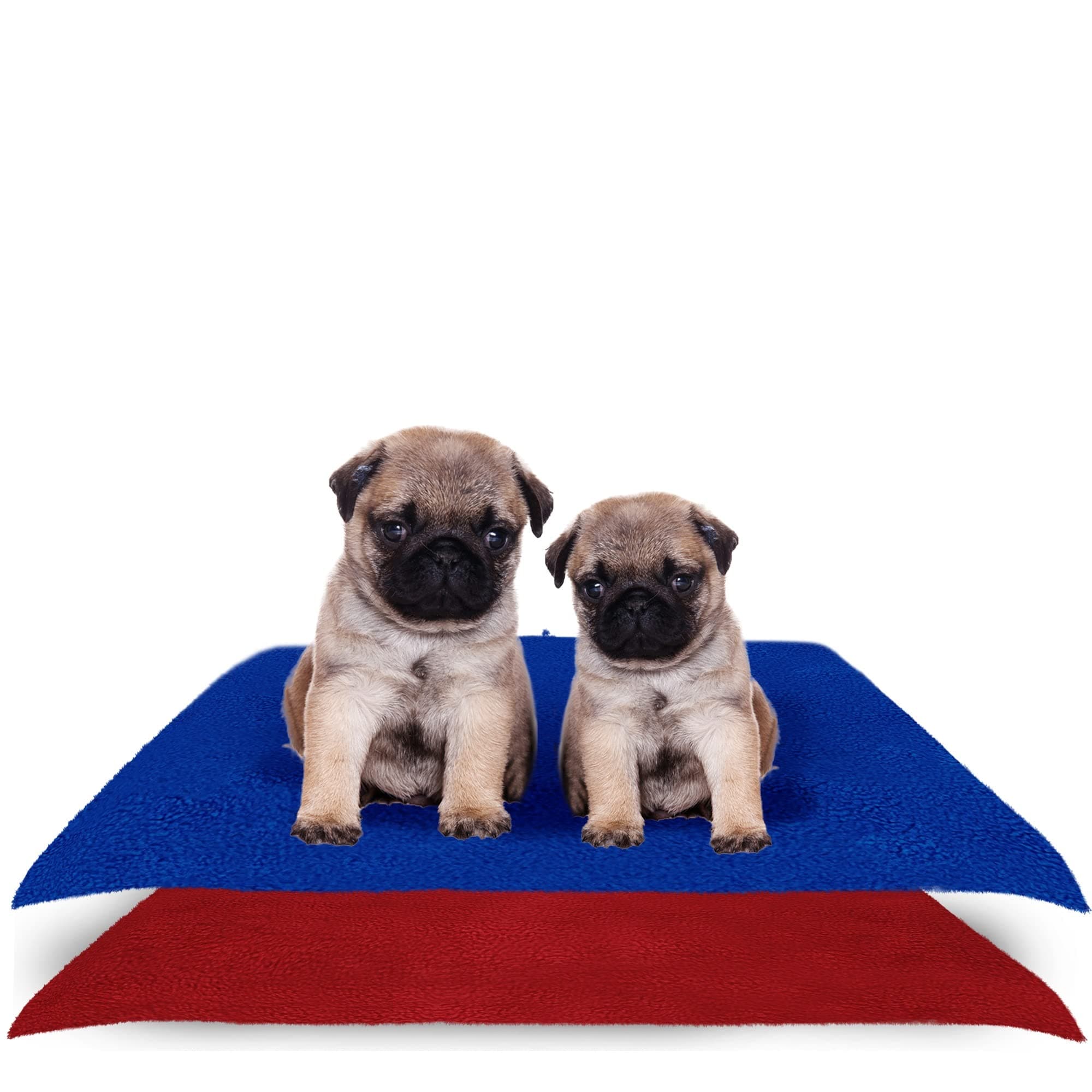 Waterproof Reusable Washable Pee Pads & Hygenic Pet Dry Sheet | Training Pads for All Pet | Size- 70 x 50 Cm Small Combo (Color, Royal Blue + Maroon)