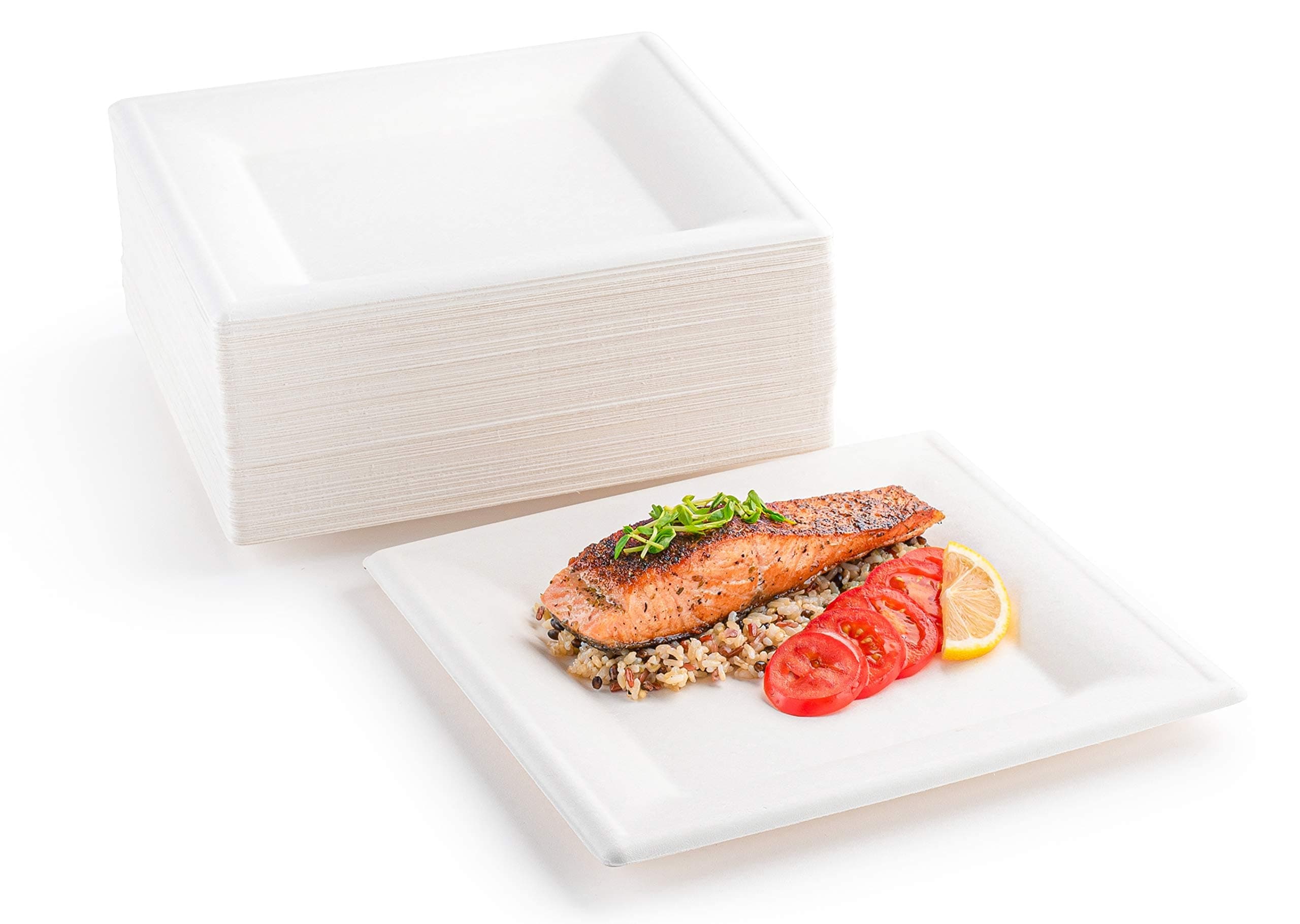 brheez 10 inch Disposable Plates Paper Plates Alternative Compostable Plates Heavy Duty [Pack of 110] Eco-Friendly 100% Natural Sugarcane Bagasse Fiber Biodegradable