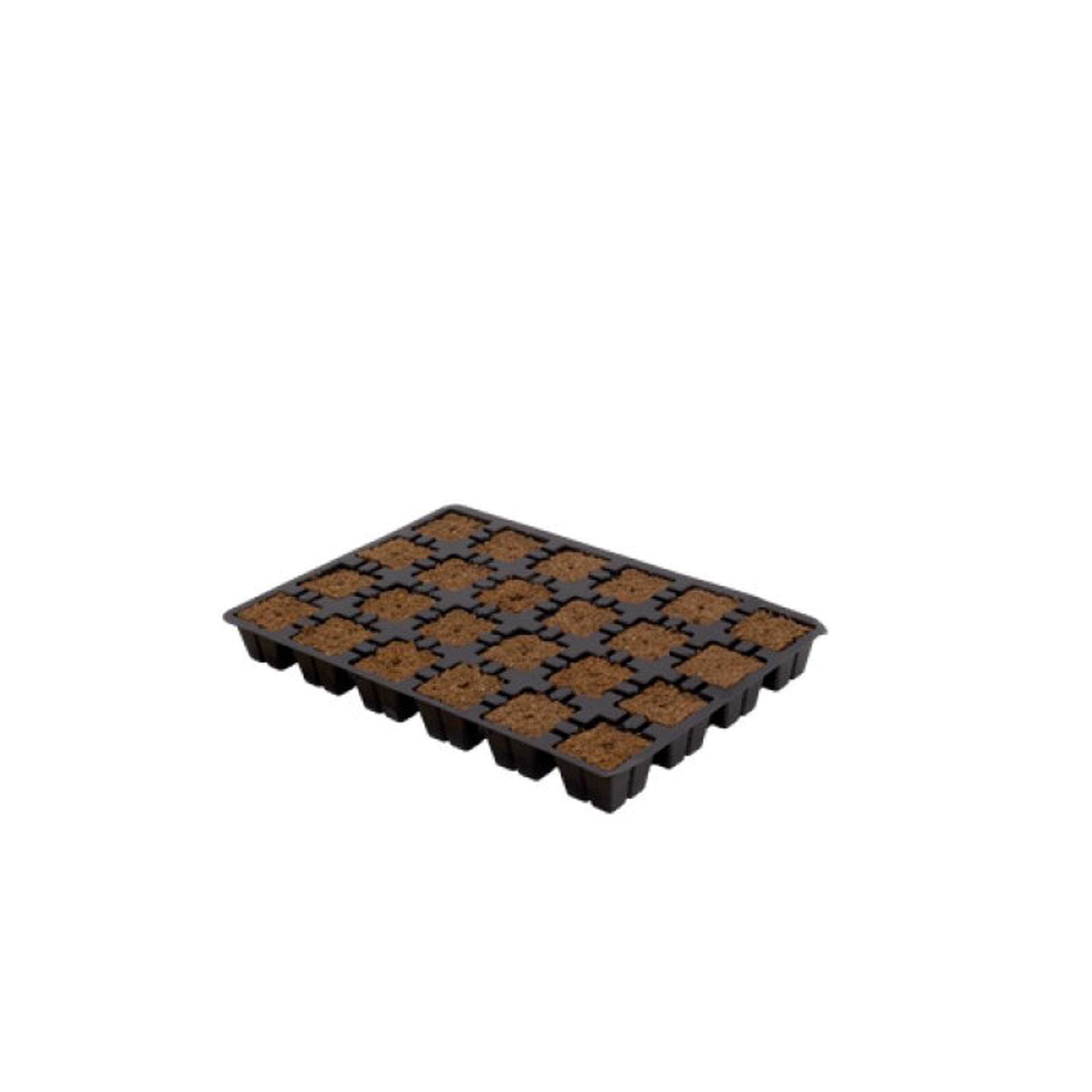 Eazy Plug Cutting Planting Cubes Tray with 24 - 30 x 20 x 3 cm, Cube Size 3.5 x 3.5 cm