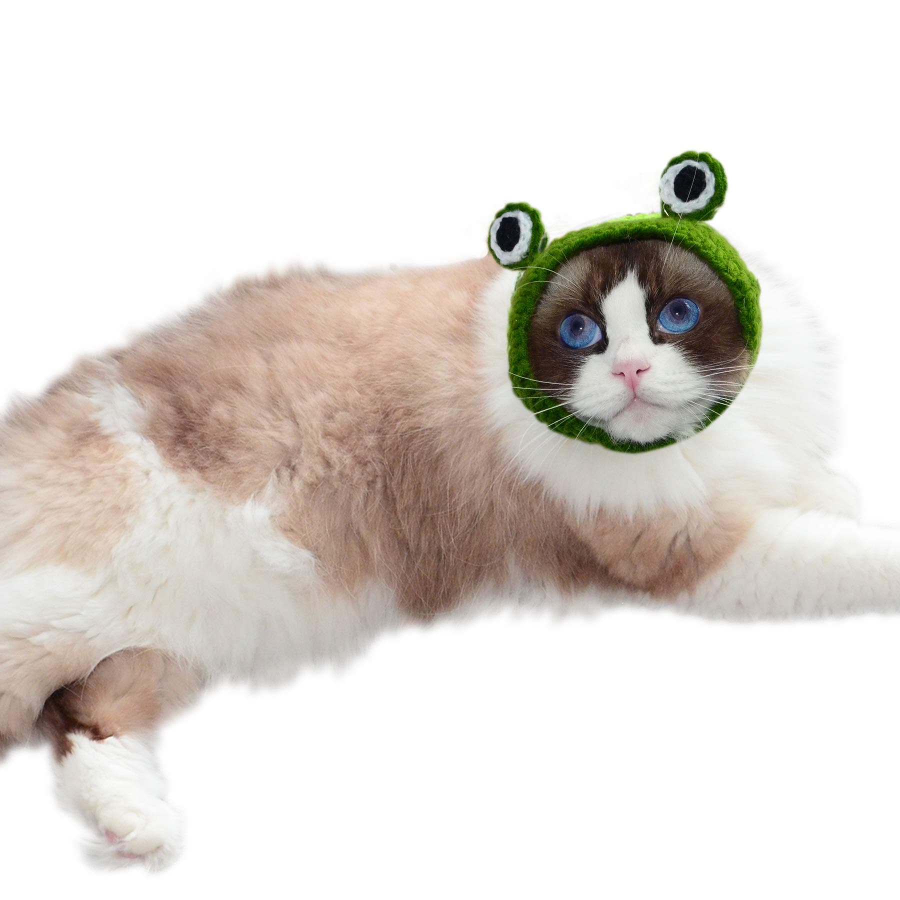 AMOY Cute Cartoon Frog Knit Dog and Cat Hats|Funny Costume for Cats/Small Dogs/Big Dogs/Children/Adults|Family Costume (Small)