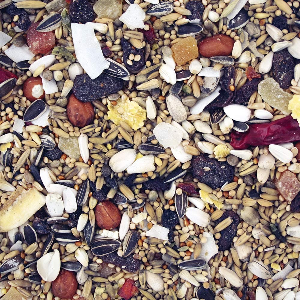 Johnston & Jeff Premium Fruity Parakeet Food 12.5kg