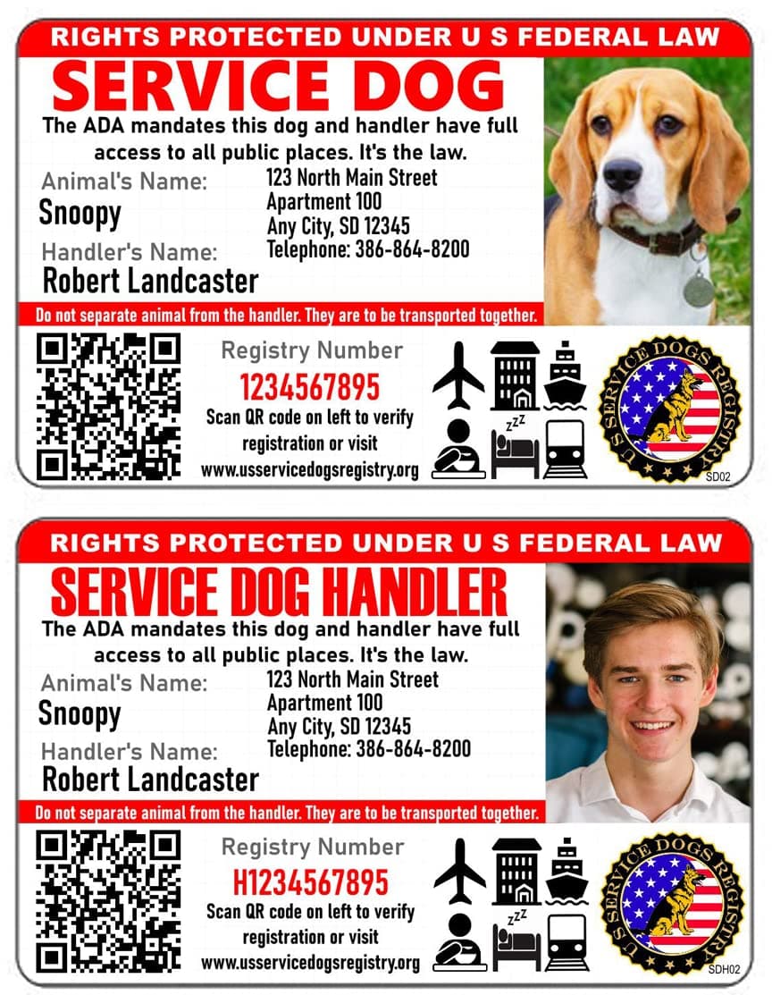 Just 4 Paws Custom Service Dog Handler & Dog ID Cards with QR Code & Security Seal and Optional Holograph | Registration to U S Service Dogs Registry Plus ID Holder & Digital ID