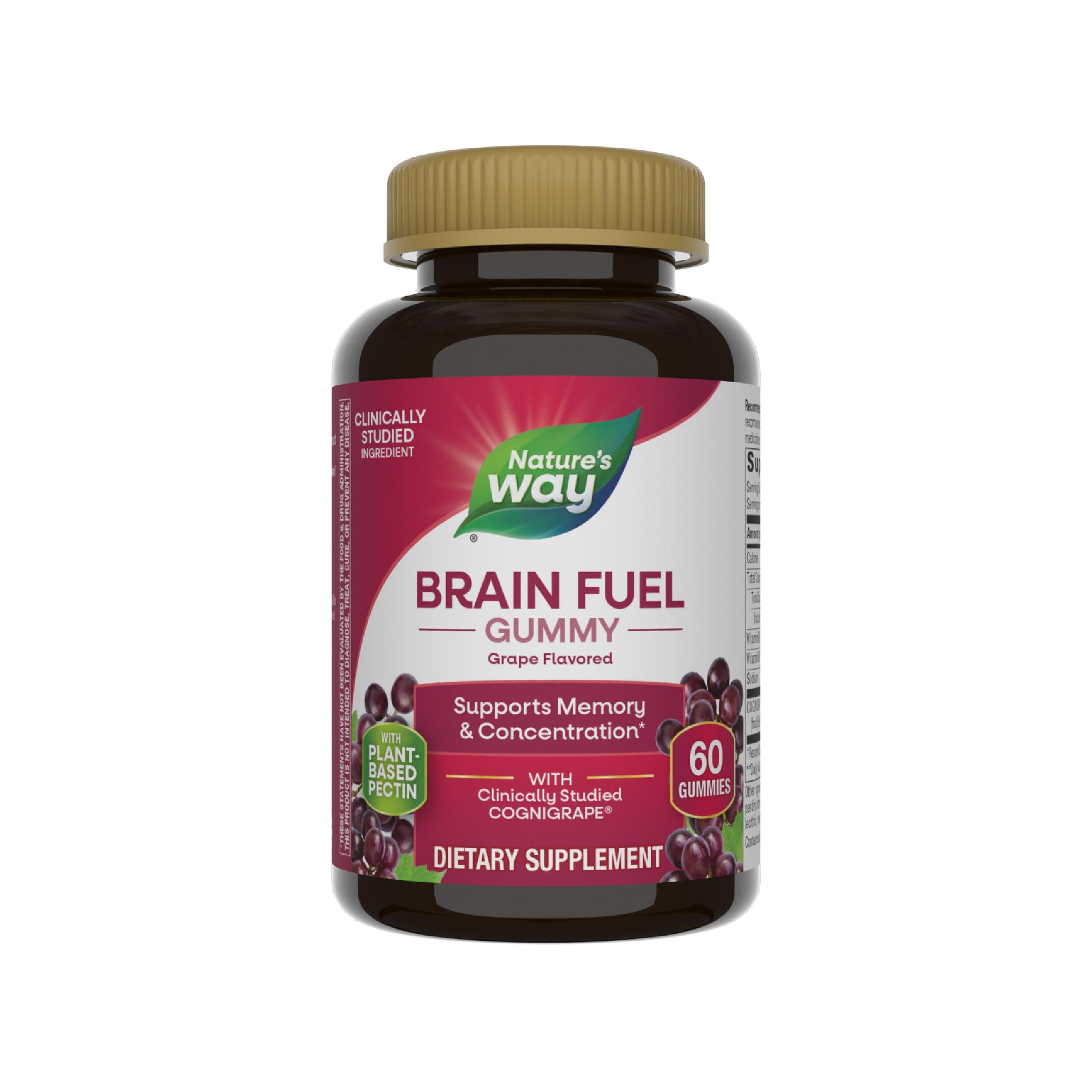 Nature’s Way Brain Fuel, Supports Memory and Concentration*, Brain Function Support Supplement*, Clinically Studied Cognigrape®, Grape Flavored, 60 Gummies