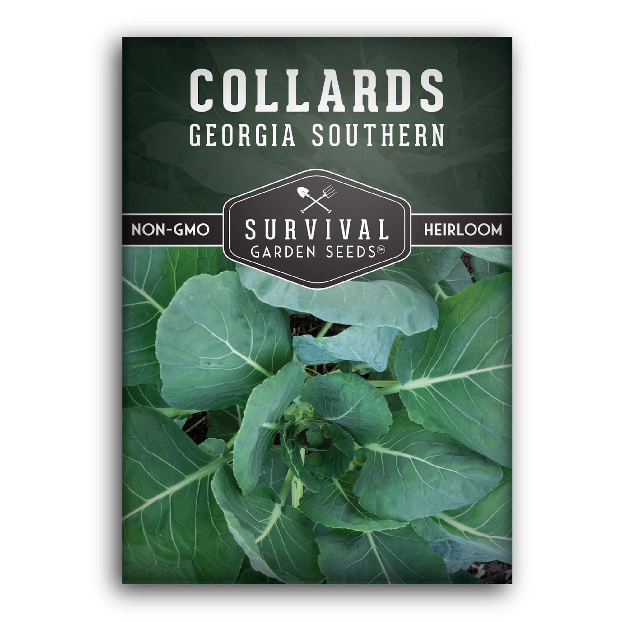 Collard Green Seeds for Planting | Georgia Southern Heirloom Non-GMO Variety | Leafy Greens for Home Vegetable Gardens - Survival Garden Seeds (1 Pack)