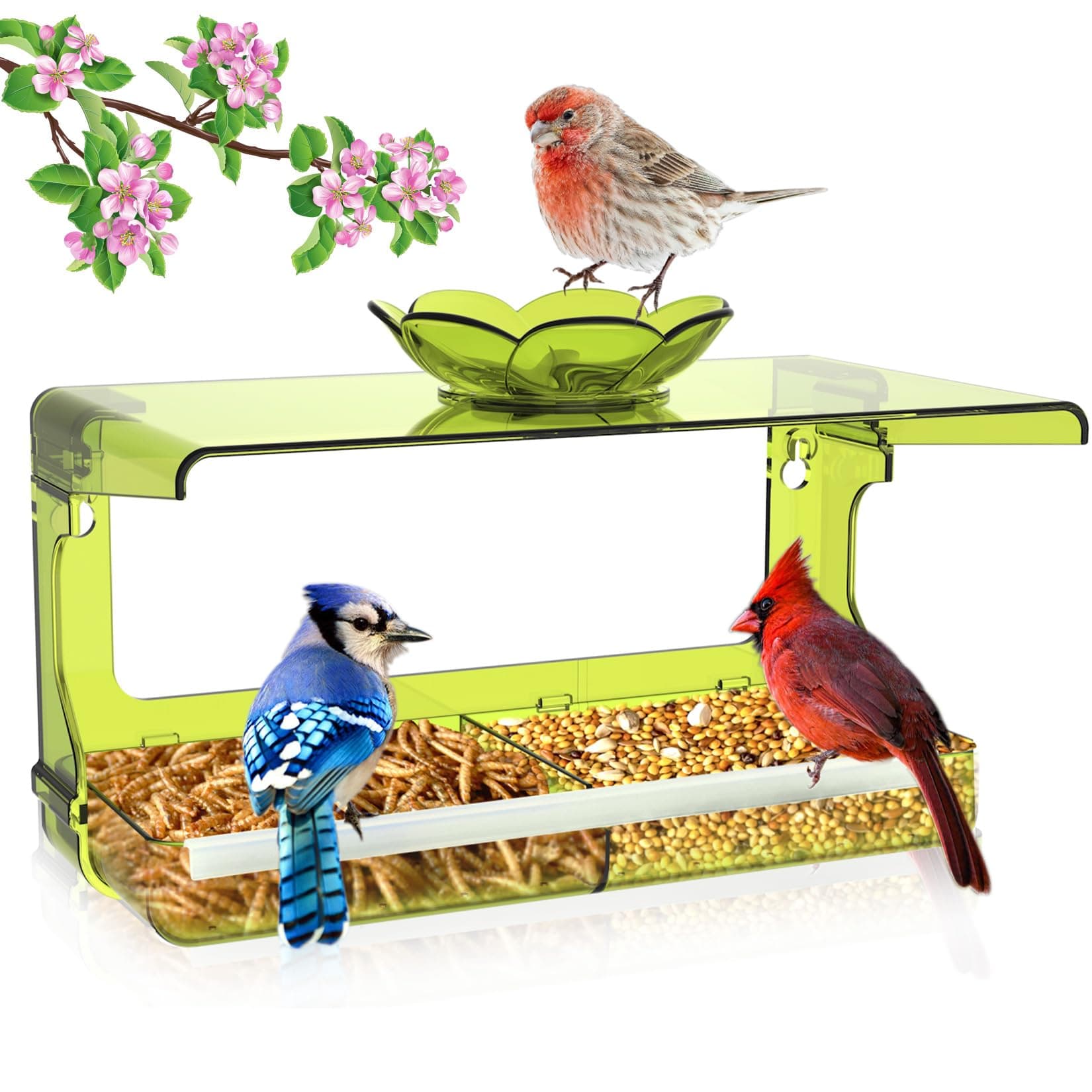 Window Bird Feeder with Non-Marking Self-Adhesive Hooks, Green Window Bird House, Bird Watching Gift, Garden Decor