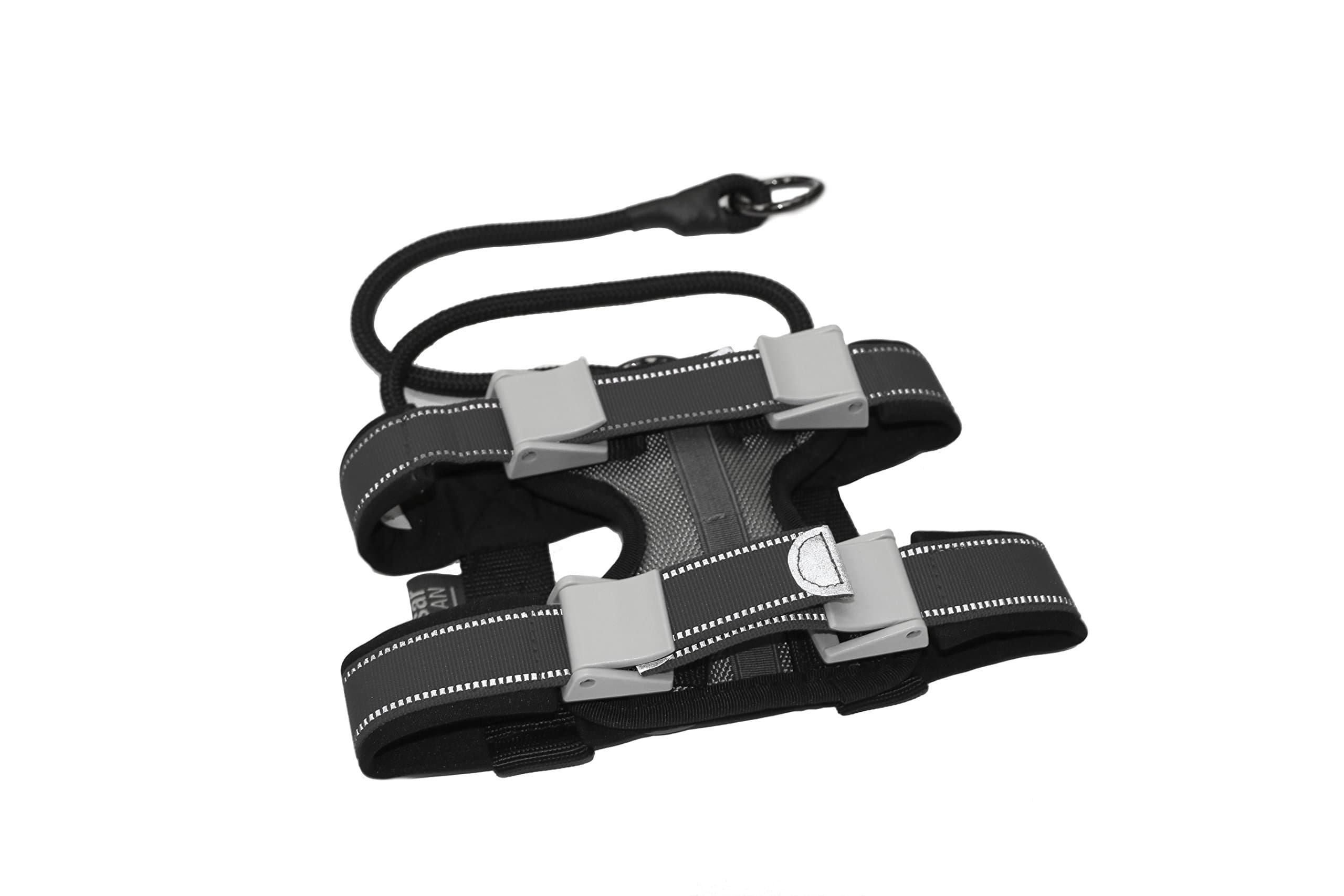 Cesar Millan Pack Leader Collar™ - Training Collar of the Dog Whisperer (Medium), Grey (Grey))