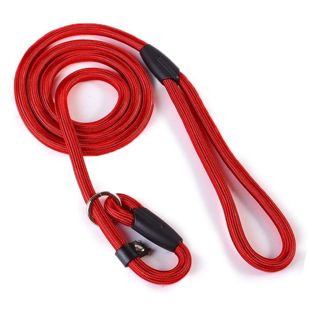 2013newestseller Pet Dog Whisperer Cesar Slip Training Leash Lead Collar (Red) by ArRord