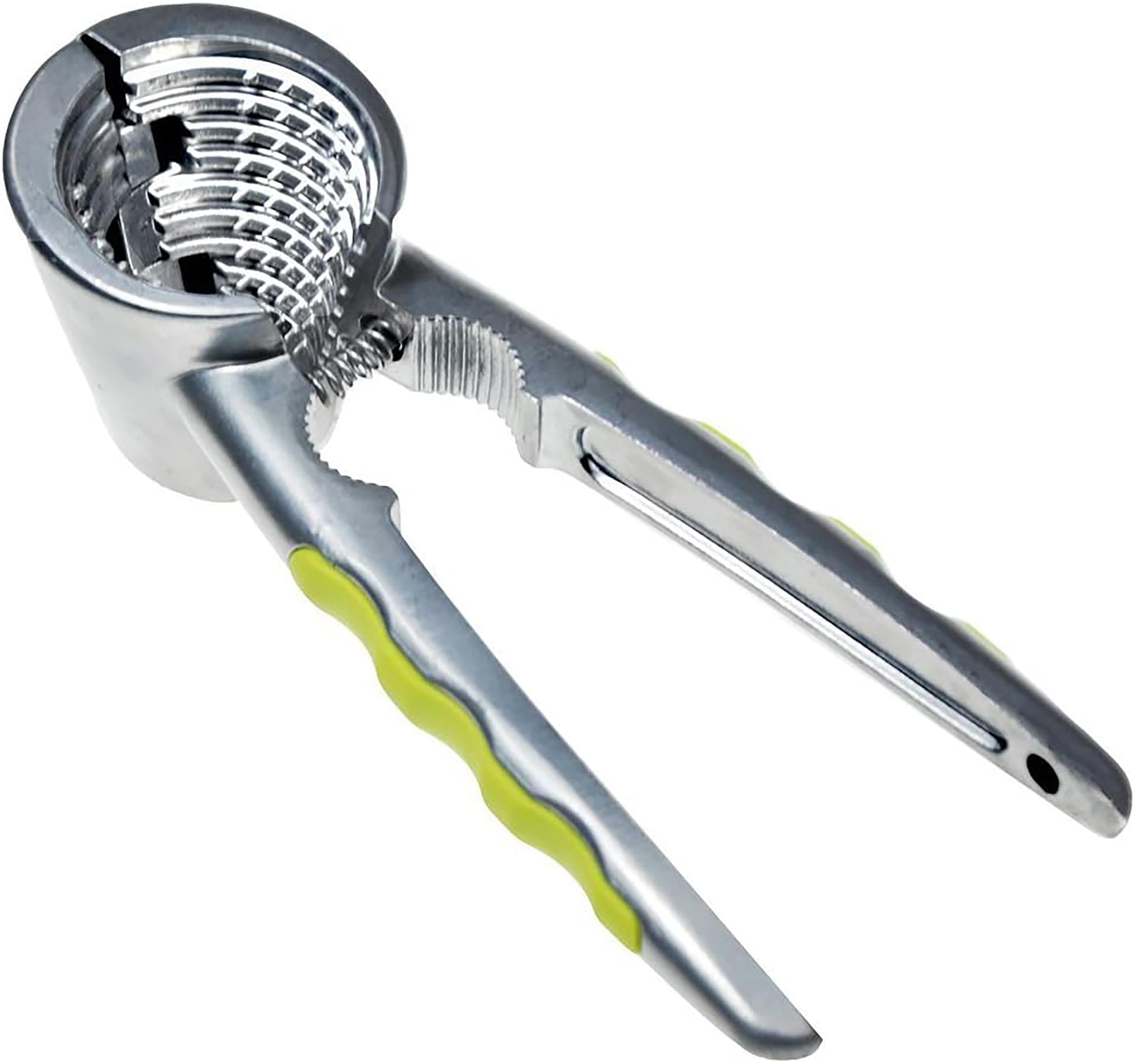 Catalpa Blume 84U7 Walnut Clip, Acrylic