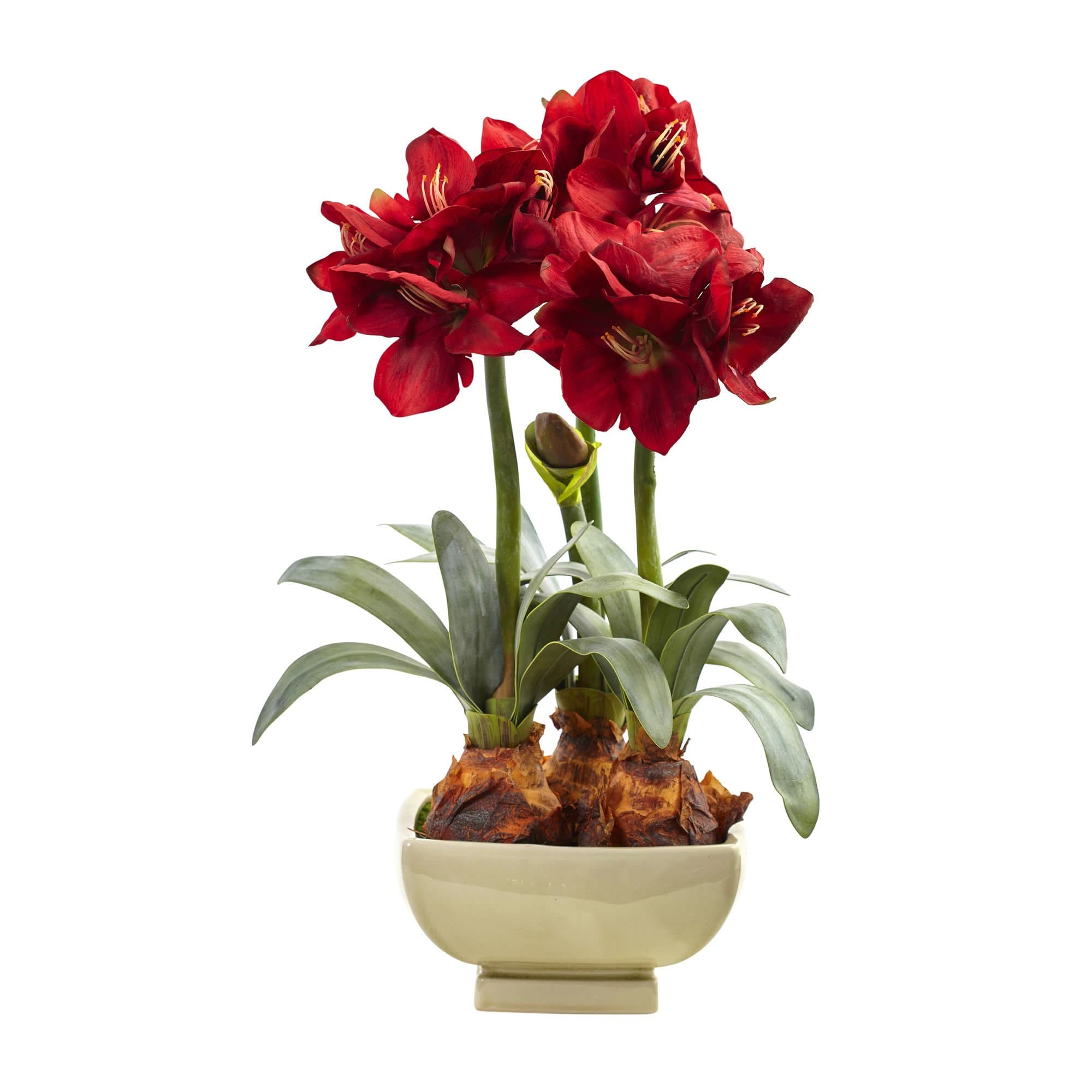Nearly Natural Amaryllis Arrangement with Vase