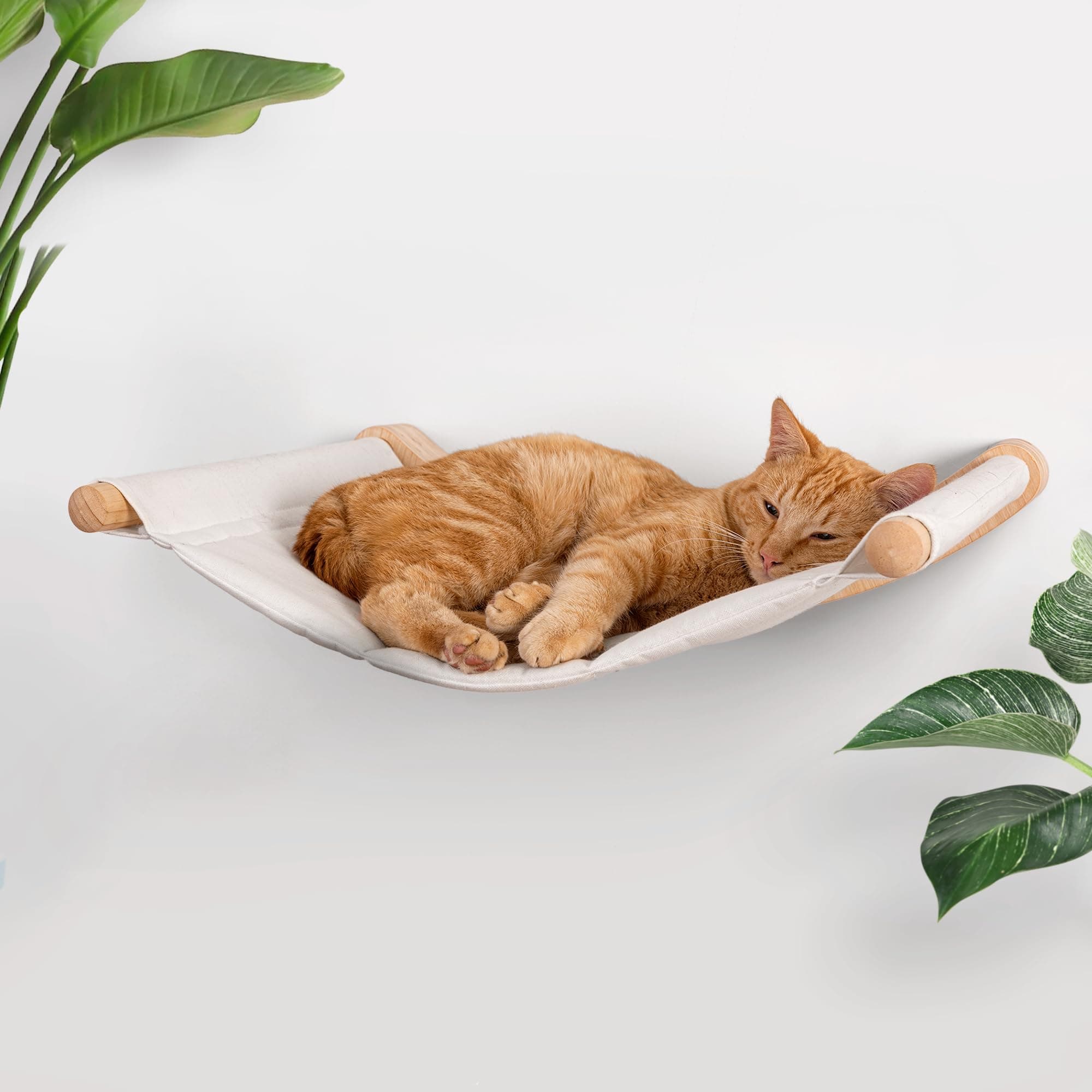 7 Ruby Road Cat Hammock Wall Mounted for Large Cats, Wood Perch Bed for Indoor Cats, Modern Cat Window Furniture & Shelves