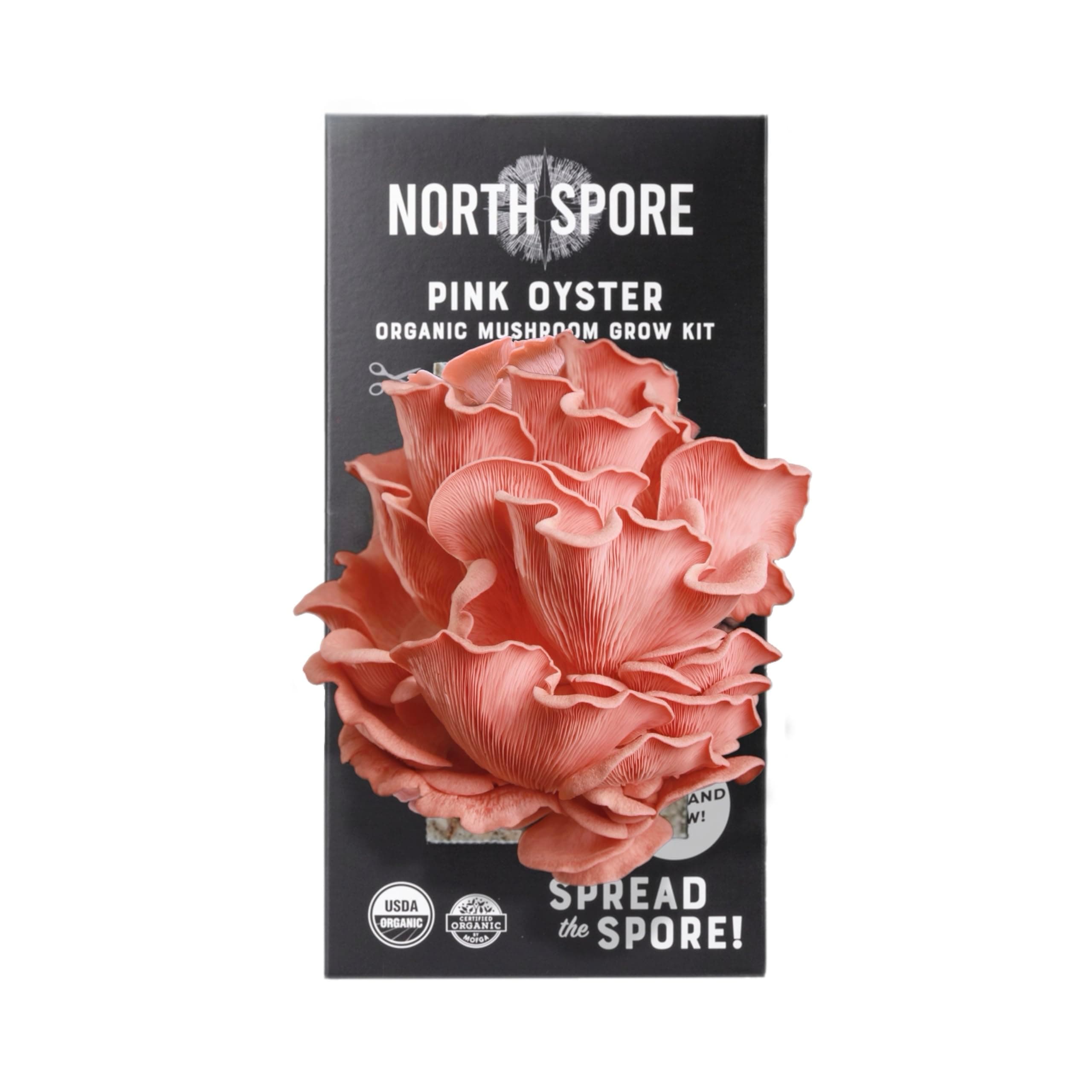 North Spore Organic Pink Oyster Mushroom Spray & Grow Kit (4 lbs) | USDA-Certified Organic, Non-GMO, Beginner-Friendly & Easy to Use | Handmade in Maine, USA