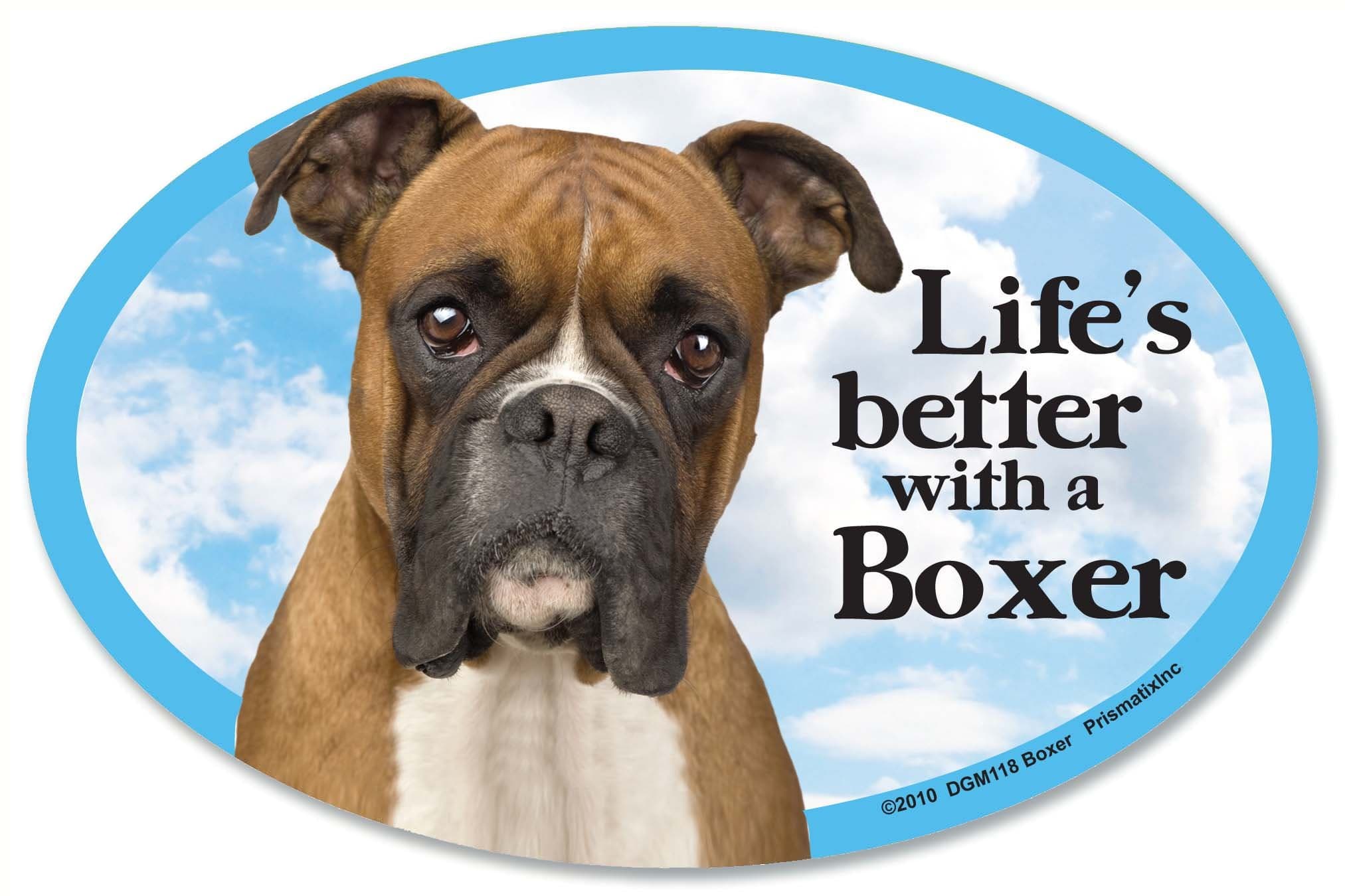 Boxer Car Magnets: Life's Better with an Boxer - Oval 6" x 4" Auto/ Truck/ Refrigerator/ Mailbox (Funny Car Decals, Dog Magnet, Boxer)