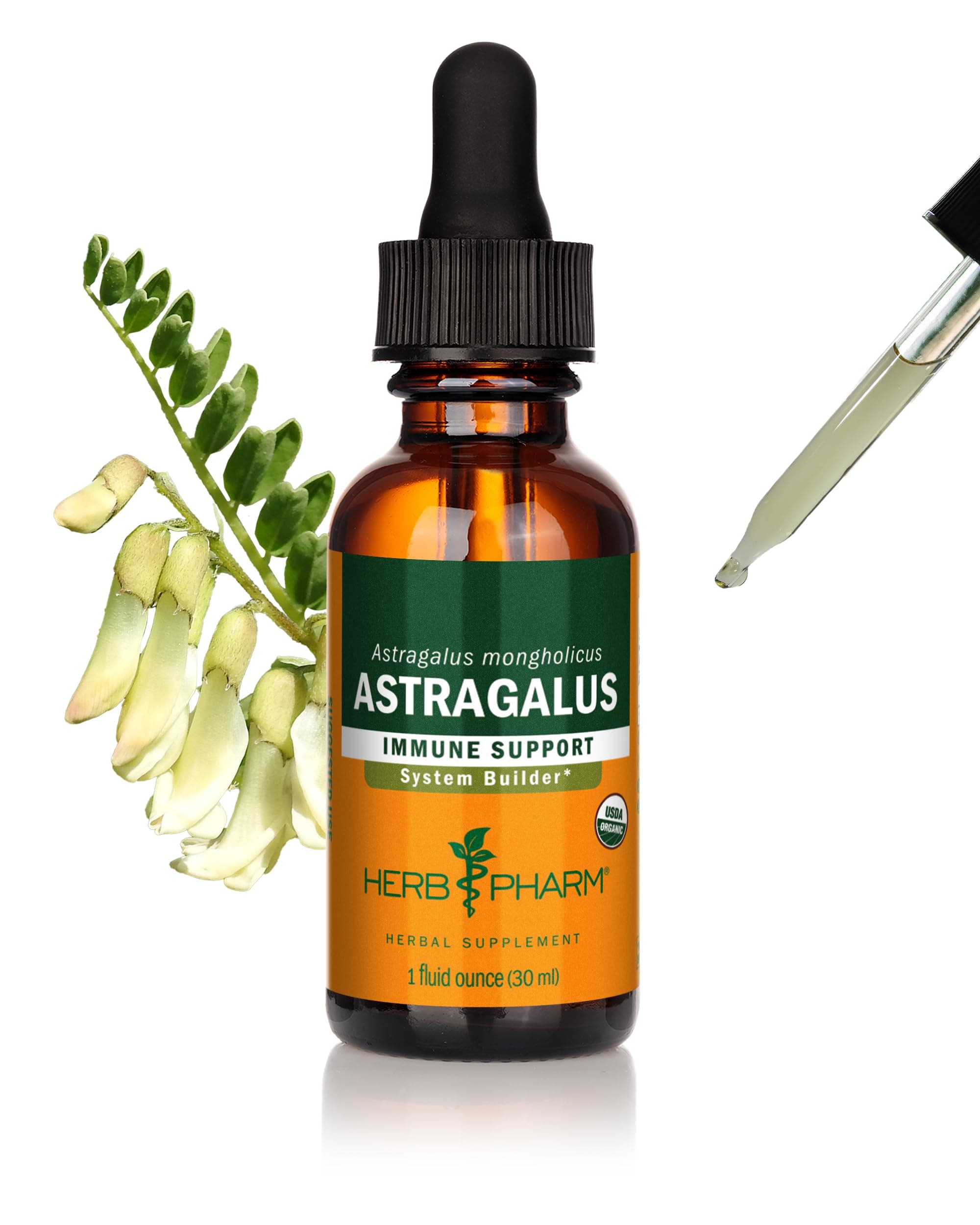 Herb Pharm - Whole Root Astragalus Liquid Extract For Immune Support 1 Fl. Oz.