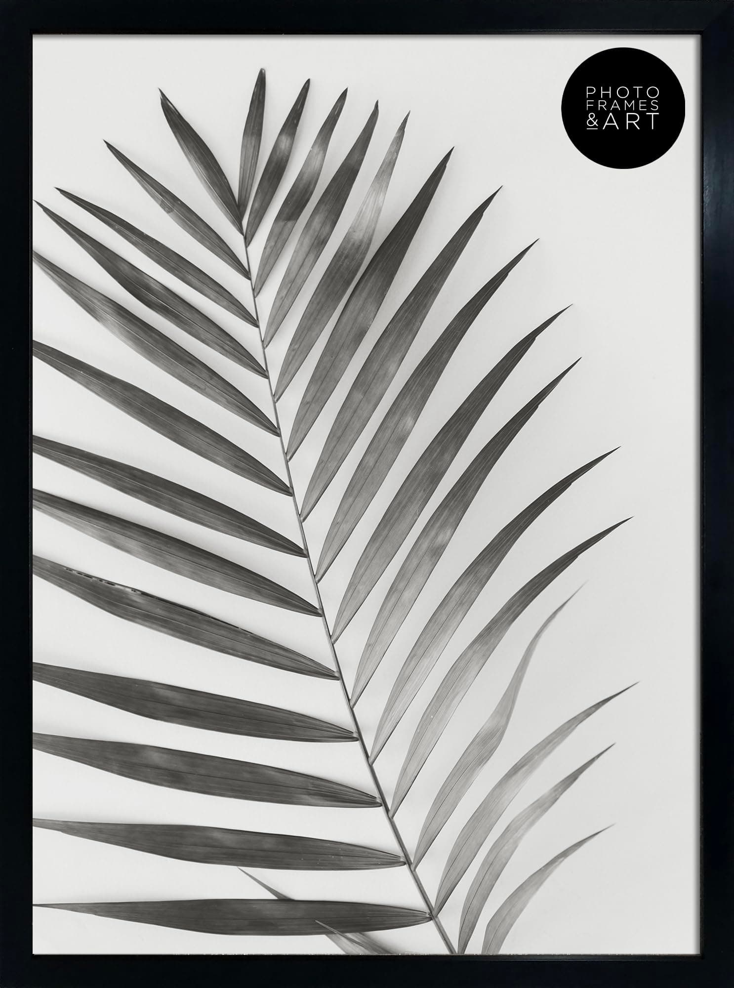 pf+a Perspex Window Black A2 Frame - A2 Poster Frame / A2 (59.4x42cm) Frame Portrait and Landscape Display