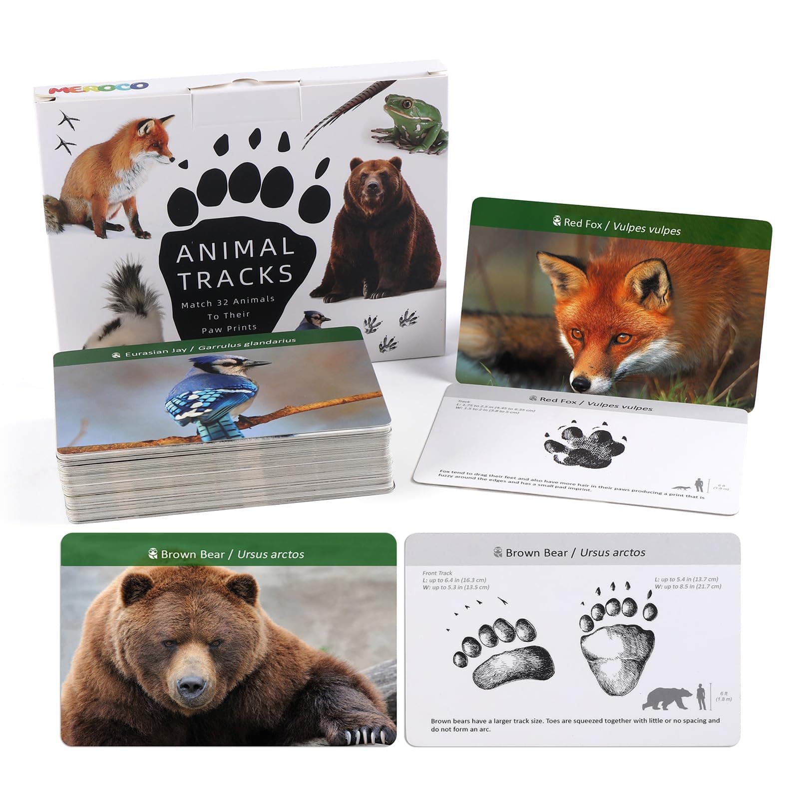 Forest Animals Tracks Cards for Kids,Animal Tracks Matching Game Flash Cards,Homeschool Animal Games Kids Learning Educational Toys Preschool Autism Learning Materials