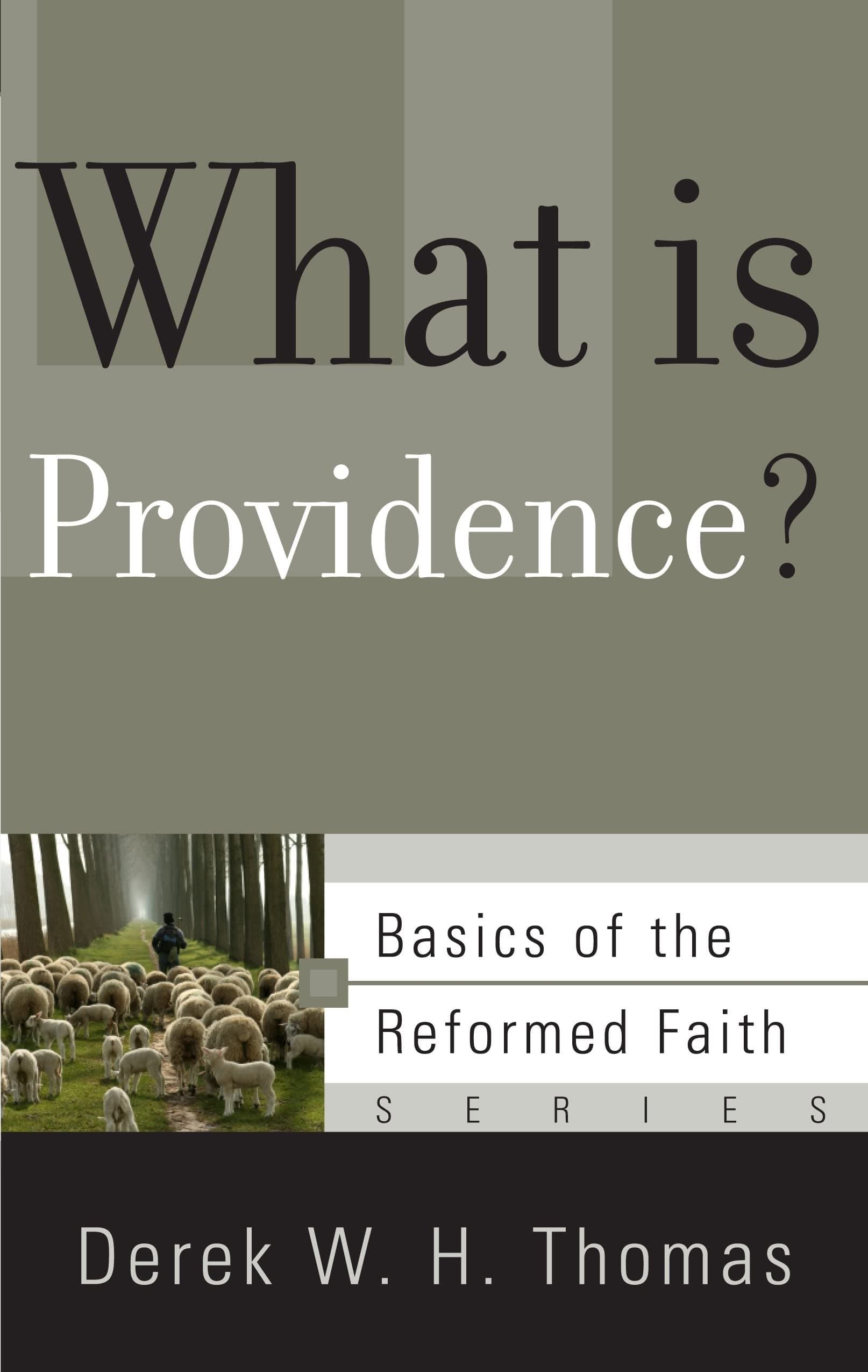 What Is Providence? (Basics of the Reformed Faith)