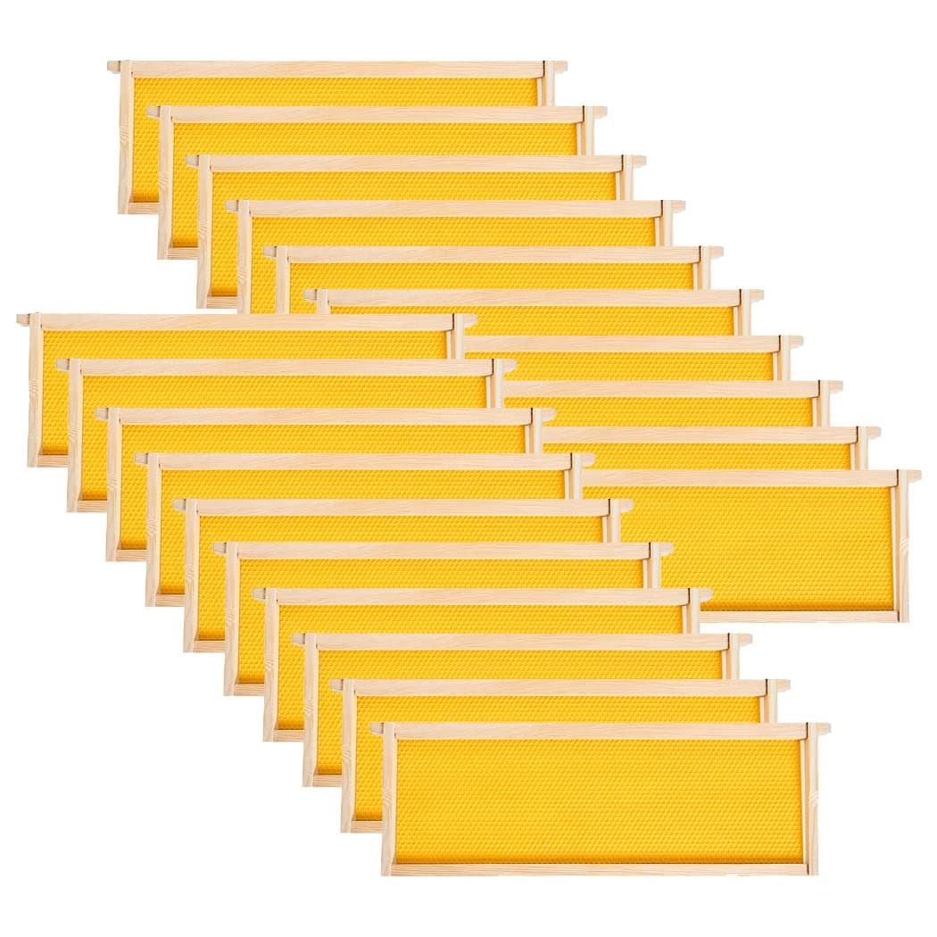 MayBee 20 Pack Honey Bee Frames with 100% Beeswax Coated Food Grade Foundation Sheets, Medium Super Beehive Frame for Beekeeping, 6-1/4-Inch (Yellow)