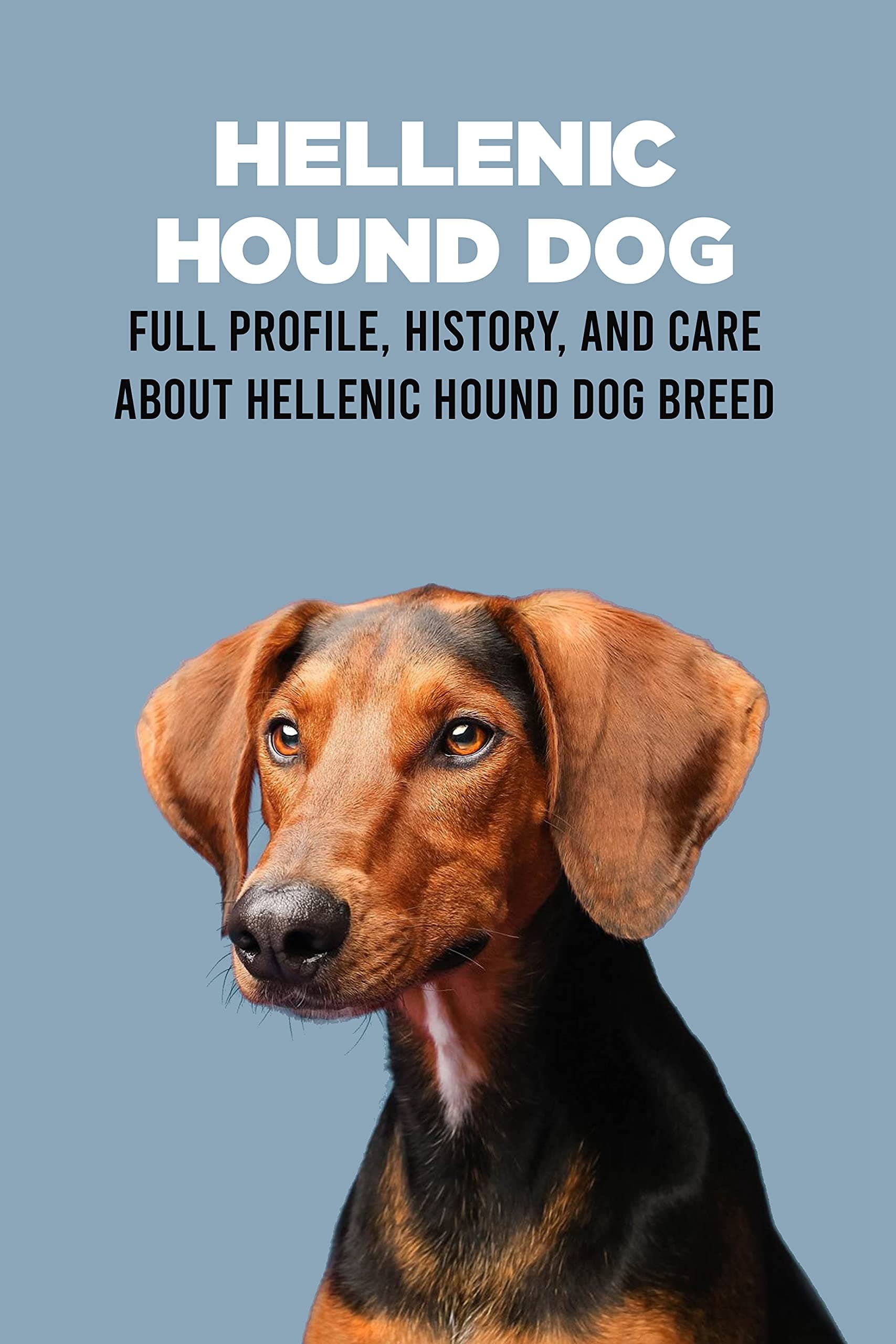 Hellenic Hound Dog: Full Profile, History, and Care About Hellenic Hound Dog Breed: Learn About Hellenic Hound Dog