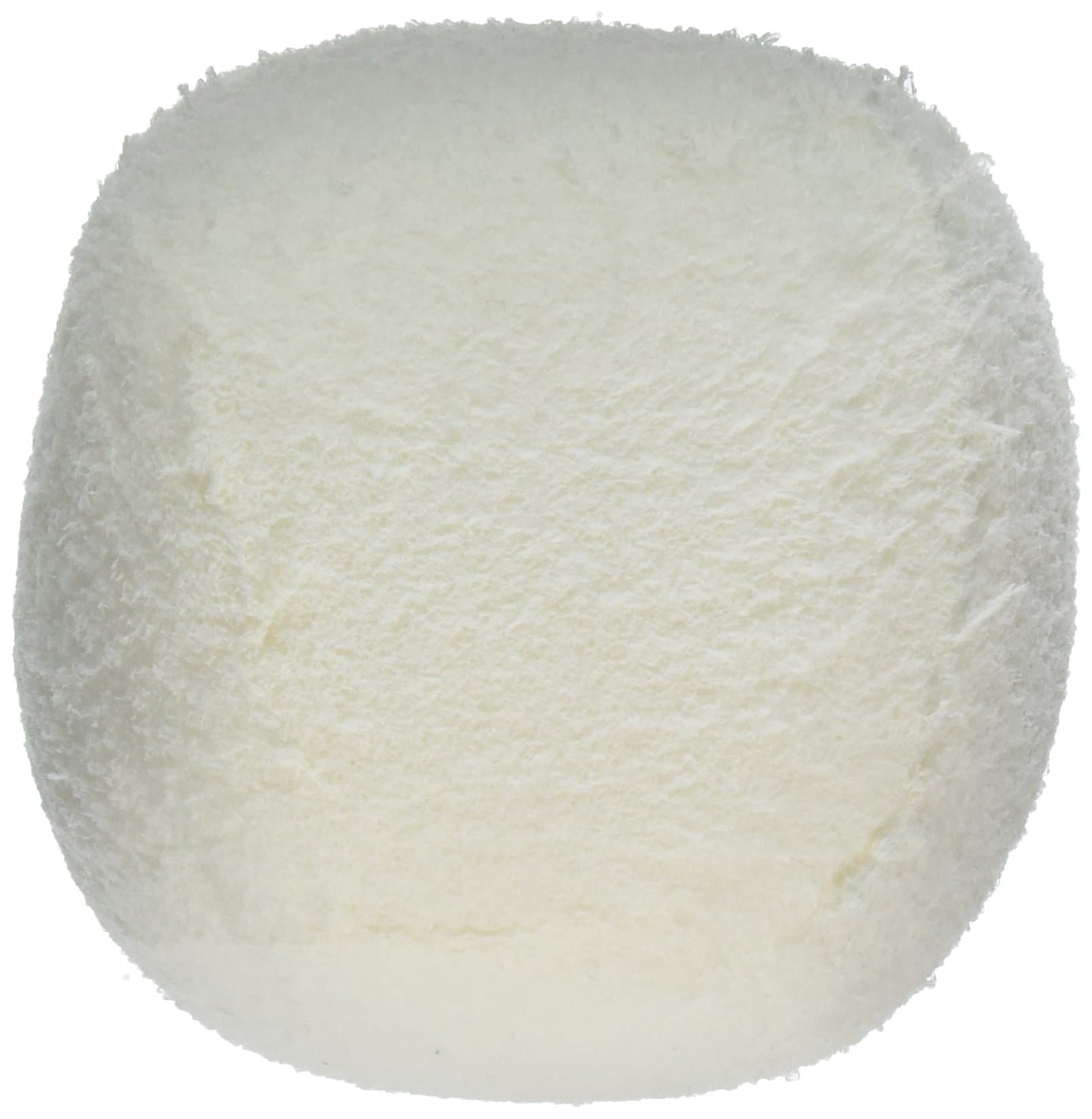 HaywardHORIZON Ventures HVSB2PK 2-Pack Pool/Spa Scum Eliminating Reusable Scum Ball