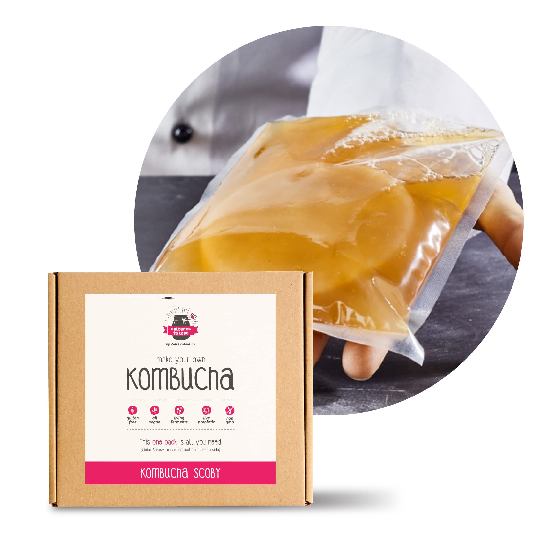 Zoh Probiotics Kombucha Scoby - Starter Culture With Mother - Live, Raw And Unfiltered - Diy Make Endless Batches- Lab Tested - No Vinegar Or Artificial Flavours Added