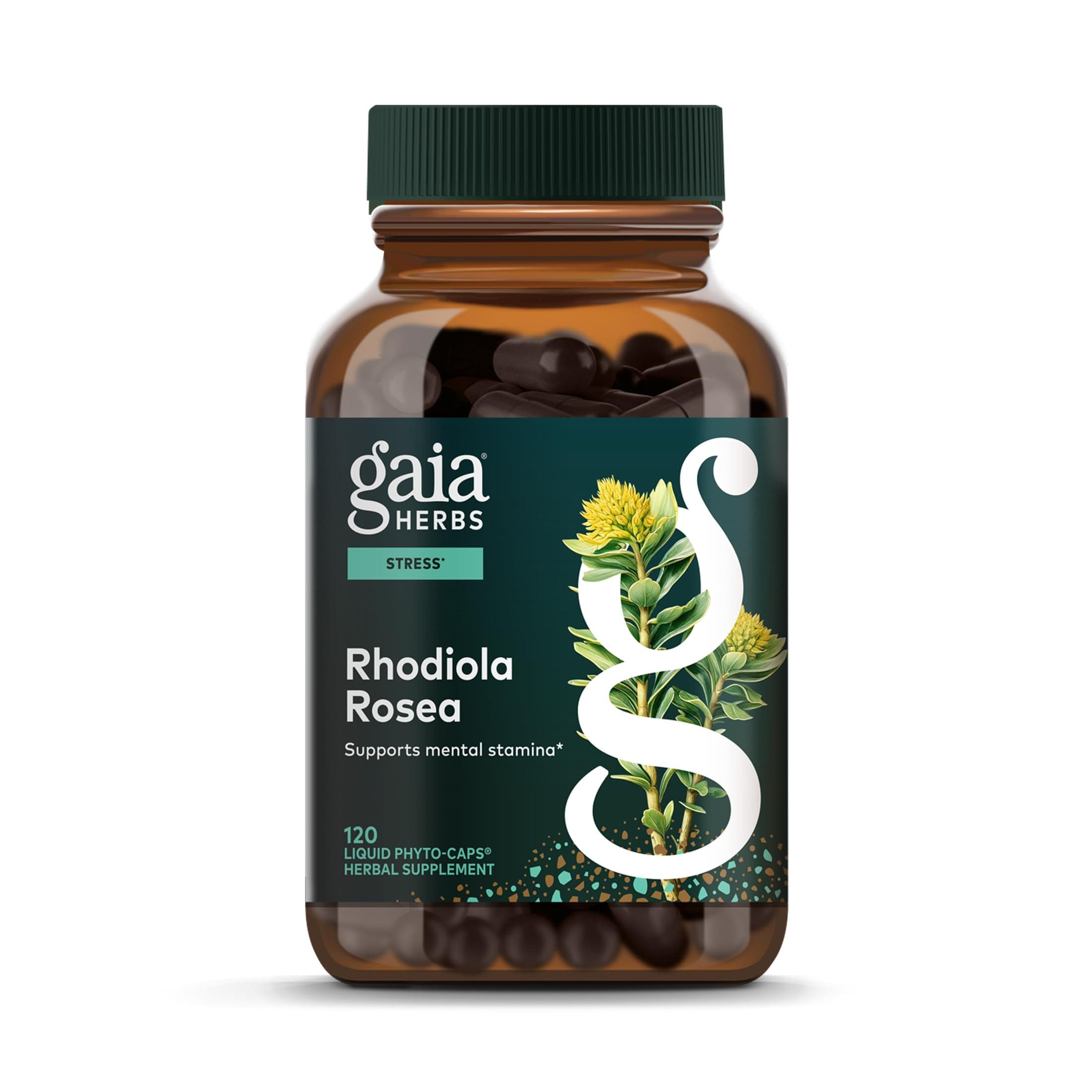 Gaia Herbs Rhodiola Rosea - Stress Support Supplement Traditionally for Supporting Healthy Stamina & Endurance* - with Siberian Rhodiola Root Extract - 120 Vegan Liquid Phyto-Caps (120 Servings)